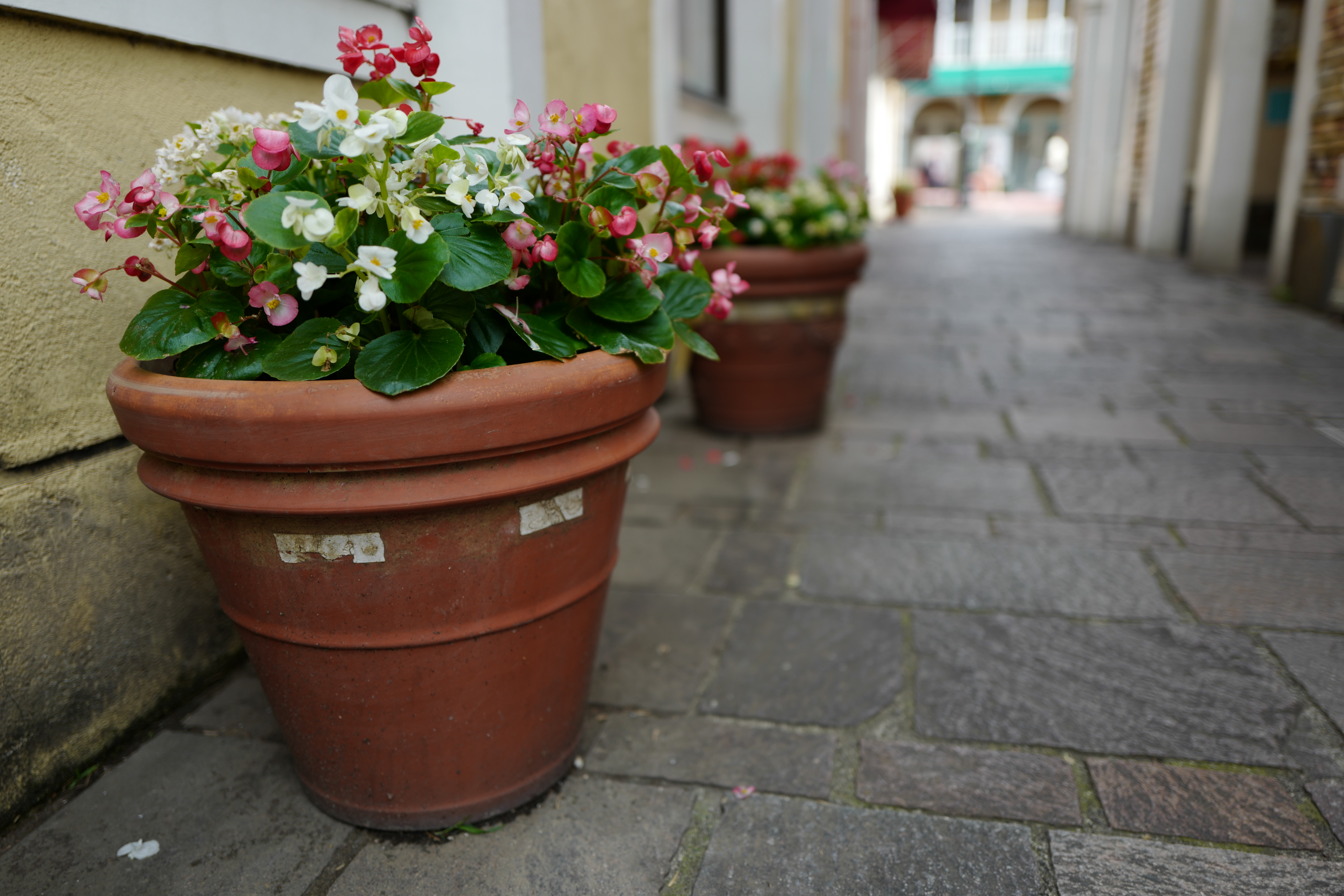 広角レンズらしい遠近感を持ちながら背景が大きくボケている。フルサイズでF1.7だから撮れた写真だ。ライカQは広角レンズで大きなボケを活かした写真が楽しめる。ISO100 / F1.7 / 1/500秒