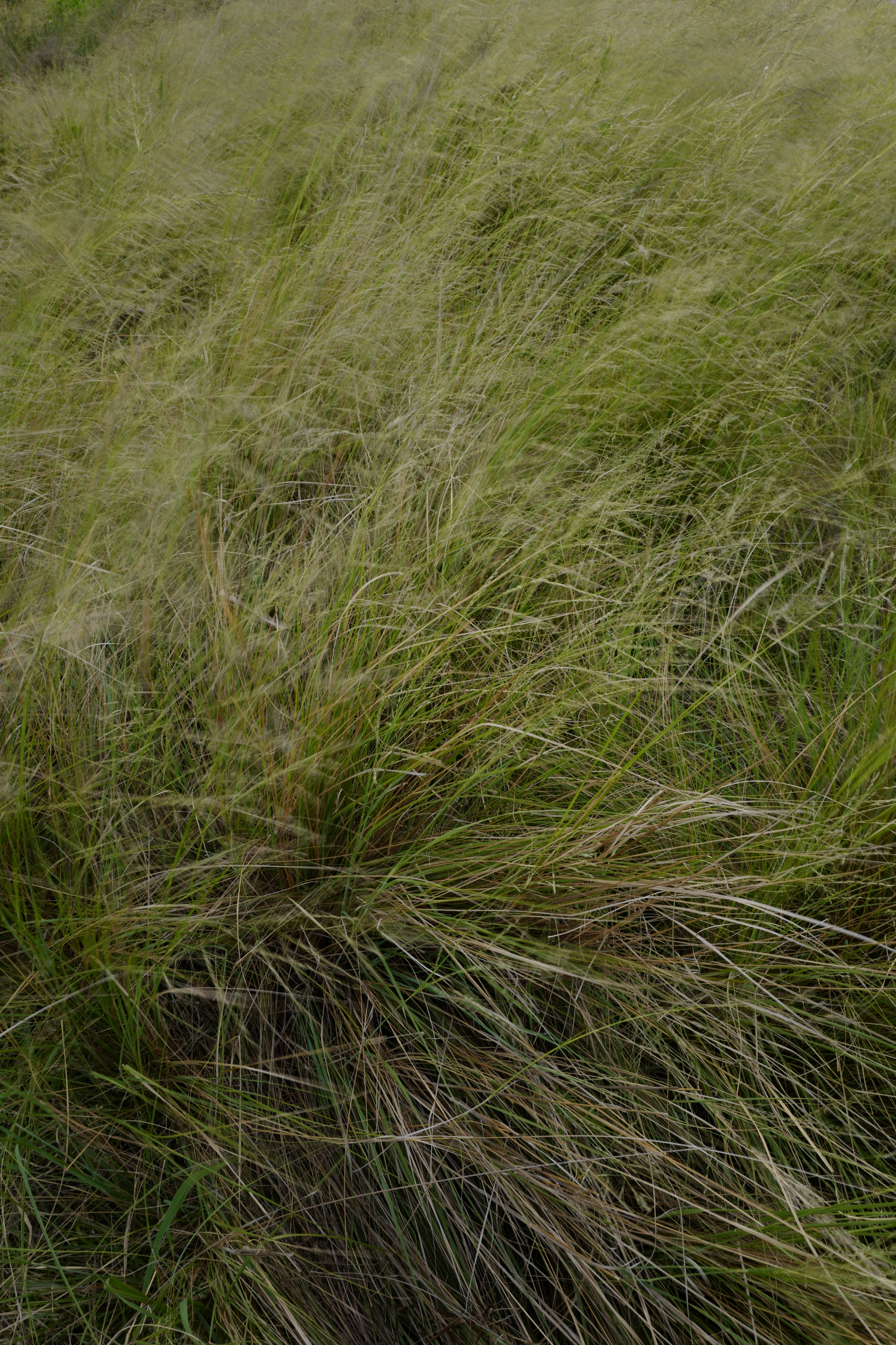 ISO100 / F16 / 1/13秒