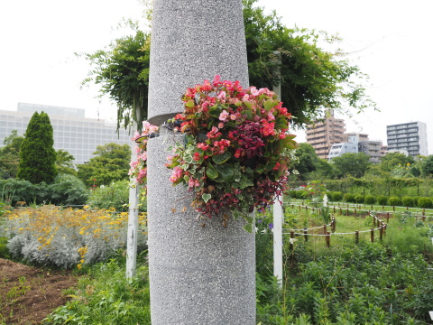交換レンズレビュー：M.ZUIKO DIGITAL ED 7-14mm F2.8 PRO - デジカメ
