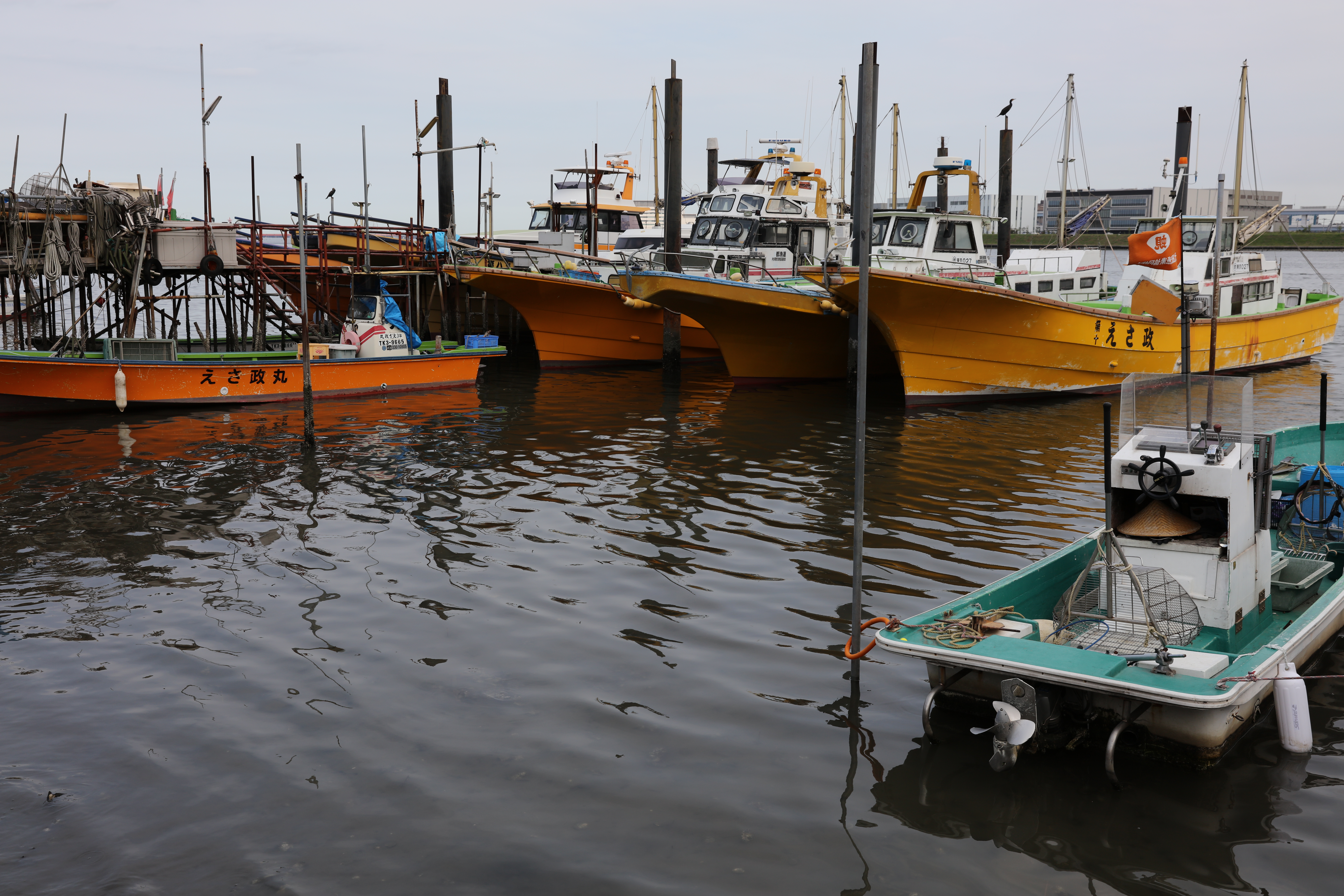 EF24-70mm F2.8L II USM・F8・1/200秒・-1/3EV・WBオート・ISO100・JPEG・スタンダード