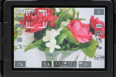 新製品レビュー：キヤノンEOS 8000D（外観・機能編） - デジカメ Watch
