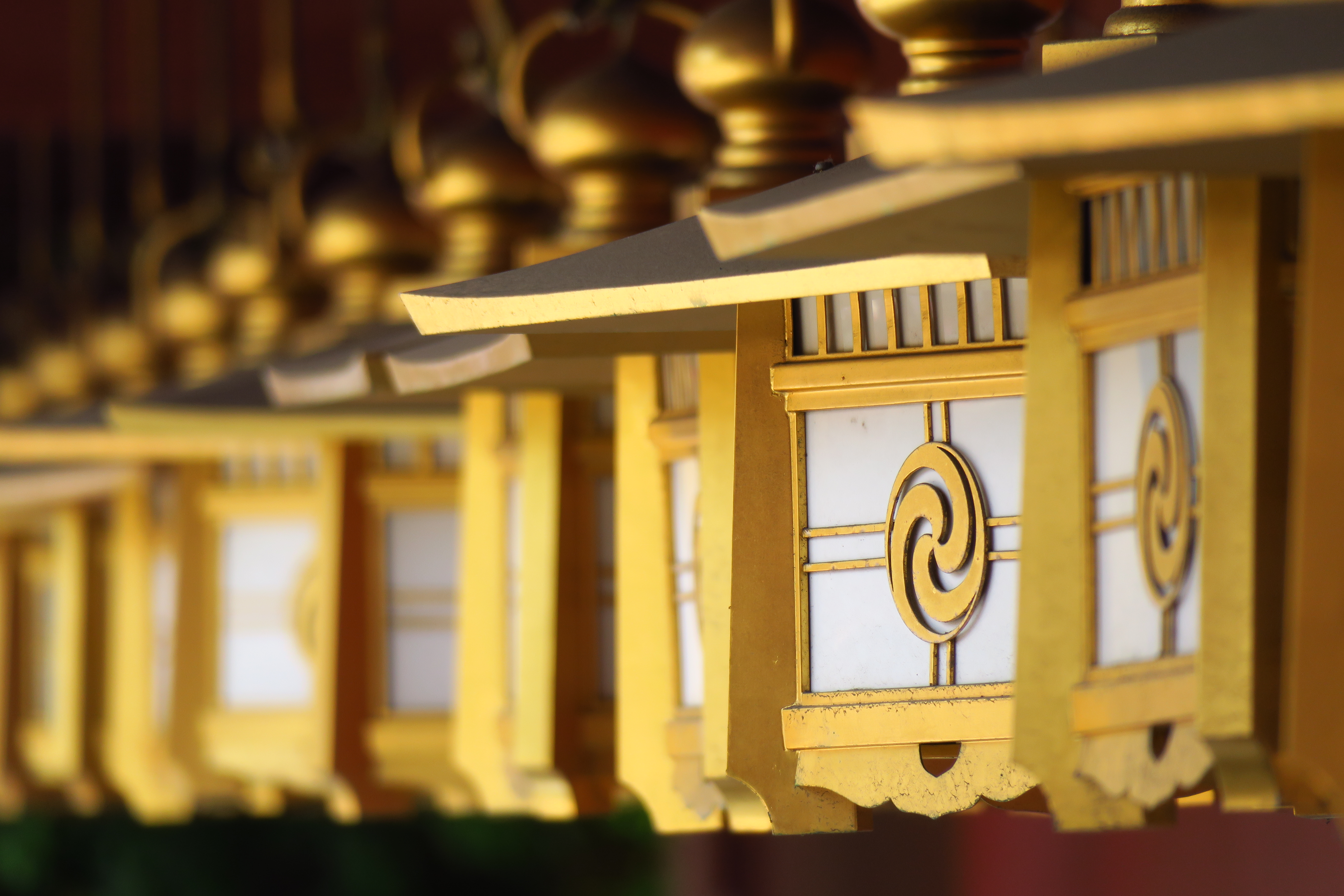 ISO200 / F5.6 / 1/160秒 / 220mm