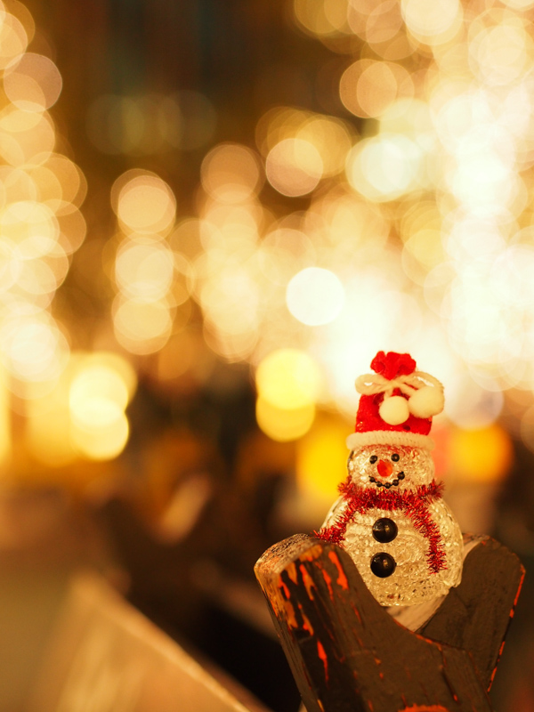 使ったレンズは「<a href="http://olympus-imaging.jp/product/dslr/mlens/45_18/index.html" class="n" target="_blank">M.ZUIKO DIGITAL 45mm F1.8</a>」