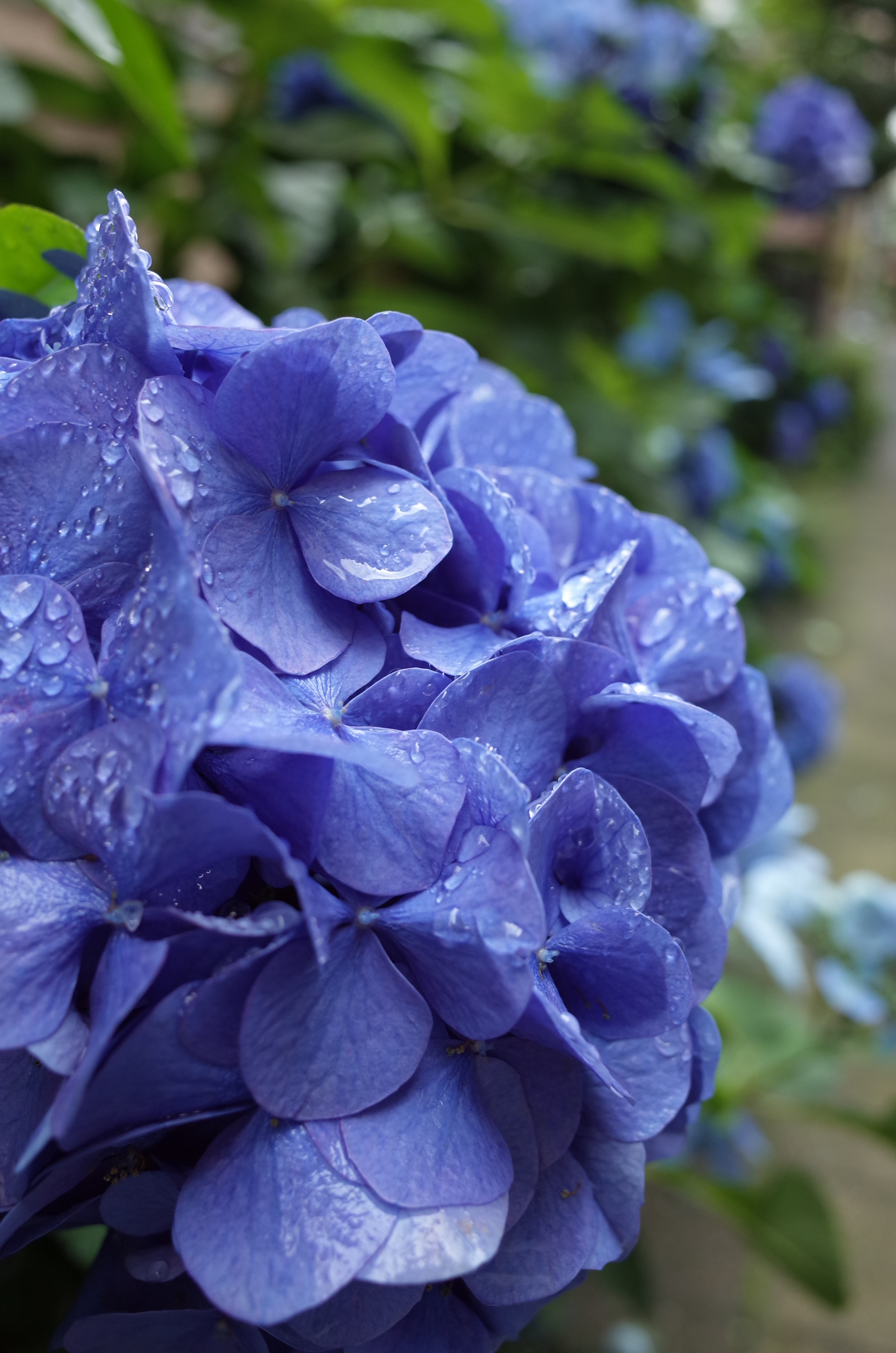 1/40秒 / F4 / ±0EV / ISO160 / WB:オート