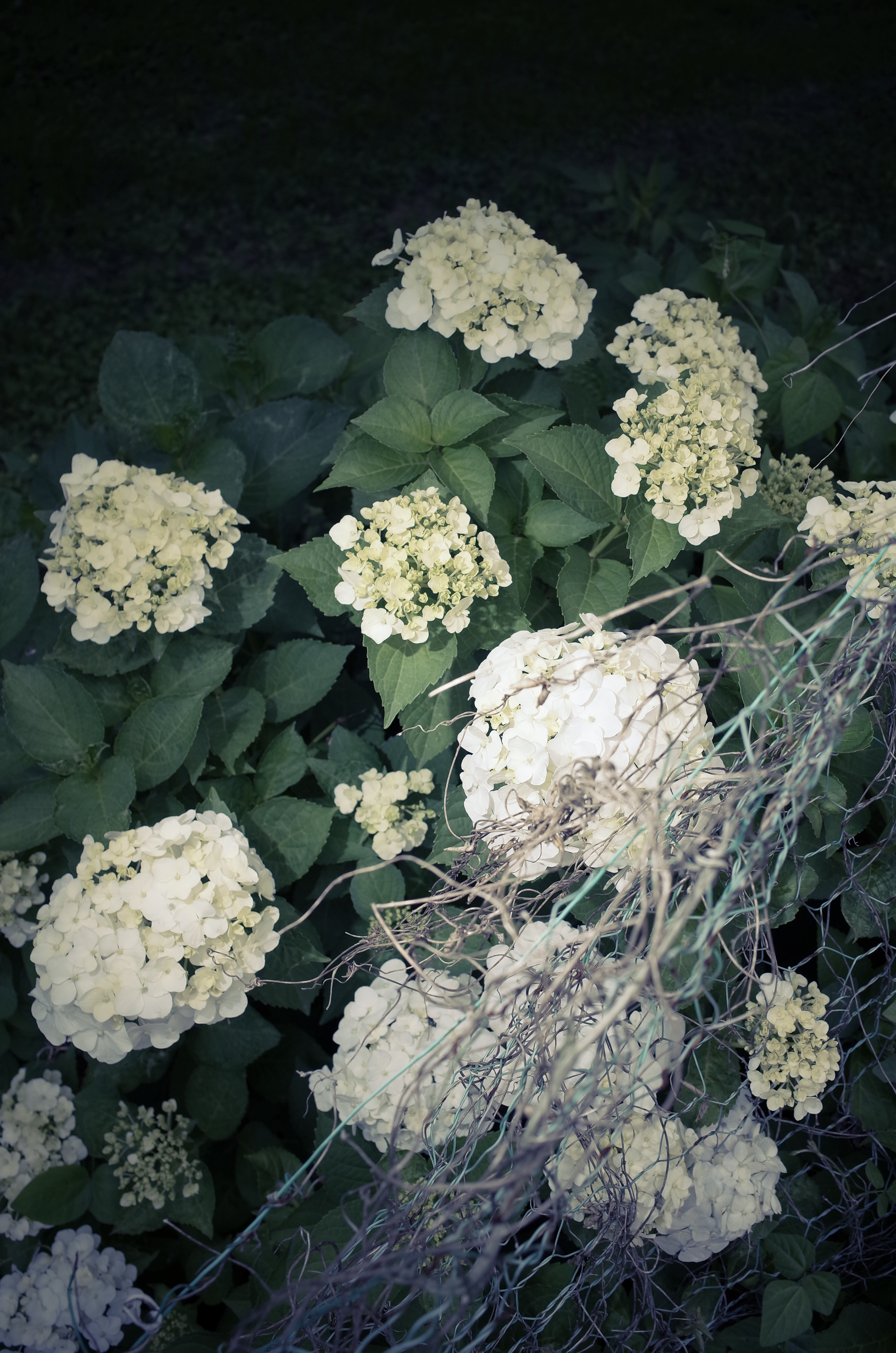 ワイヤレス発光機能の使用例