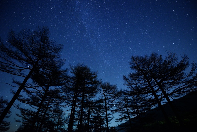 <strong class="">15秒シャッターと電球モードで青味強調</strong><br class="">ニコンD800E／AF-S NIKKOR 14-24mm f/2.8G ED／14mm／マニュアル（F2.8、15秒）／ISO3200／WB：電球