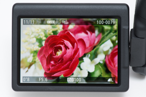 新製品レビュー：キヤノンEOS Kiss X8i（外観・機能編） - デジカメ