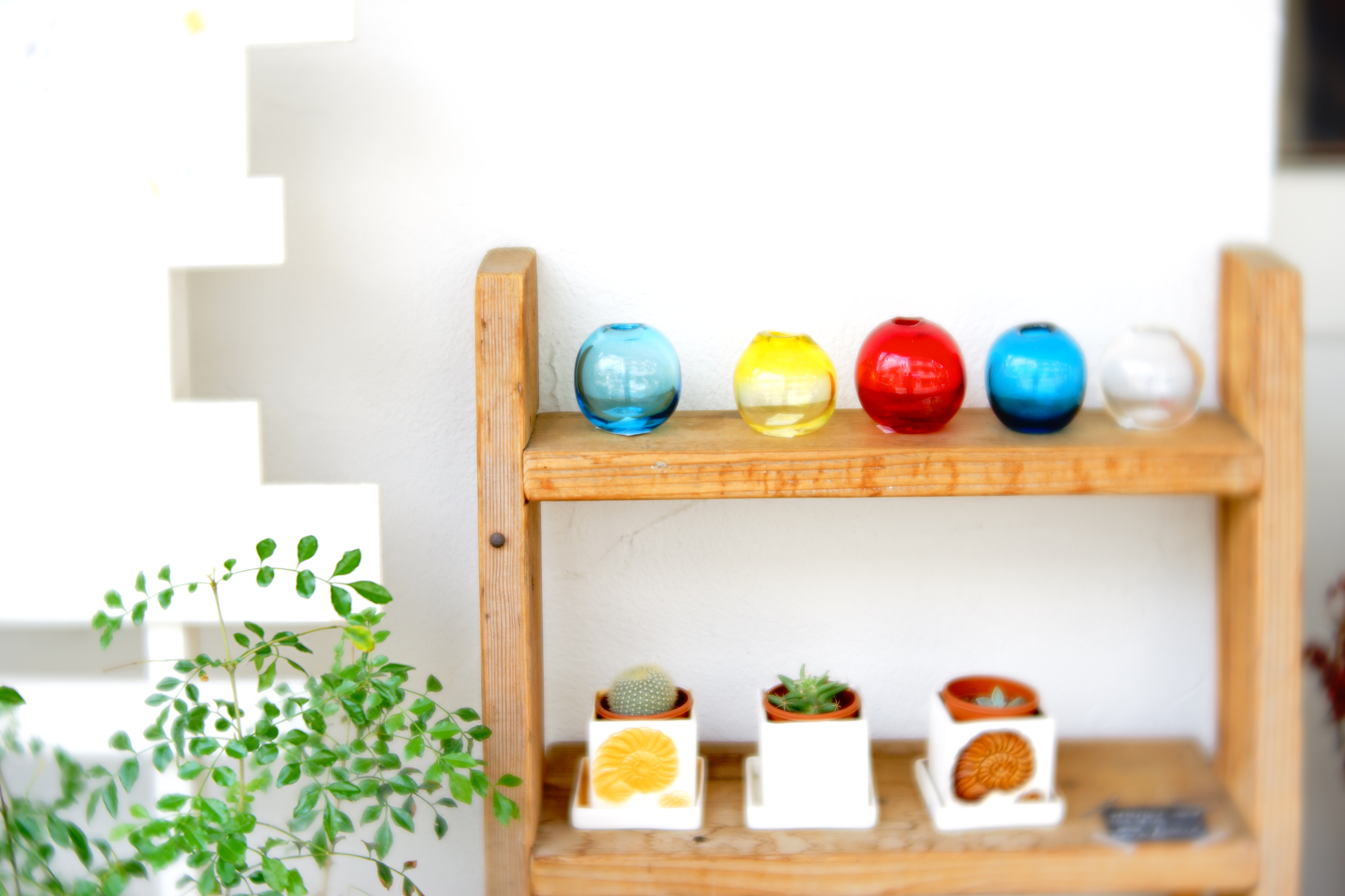 α7 II / レンズベビー Velvet 56 / F2 / 1/160秒 / 0EV / ISO50 / 56mm / クリエイティブスタイル：ニュートラル（コントラスト+1、彩度+2、シャープ+2）