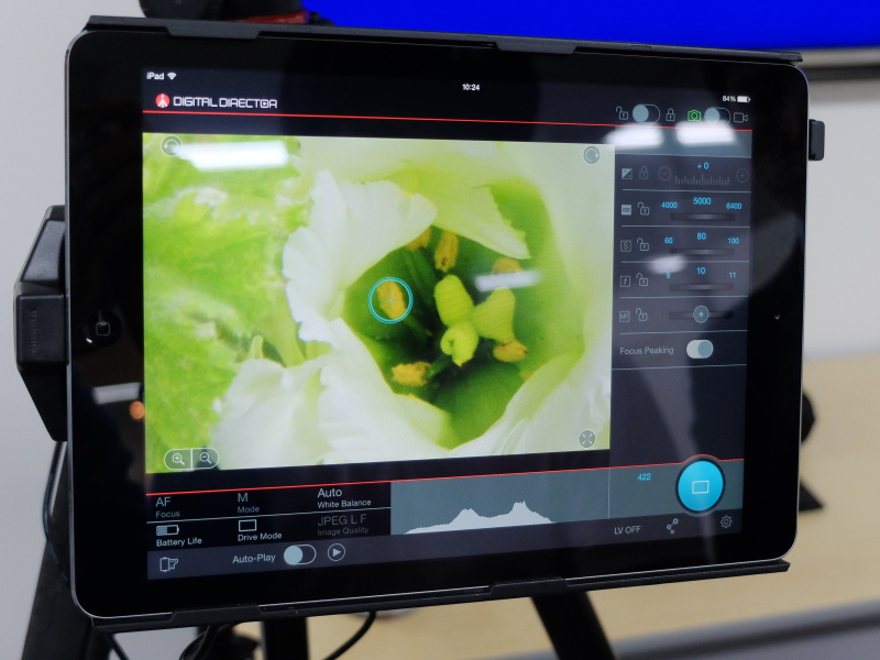 ライブビューを拡大したところ