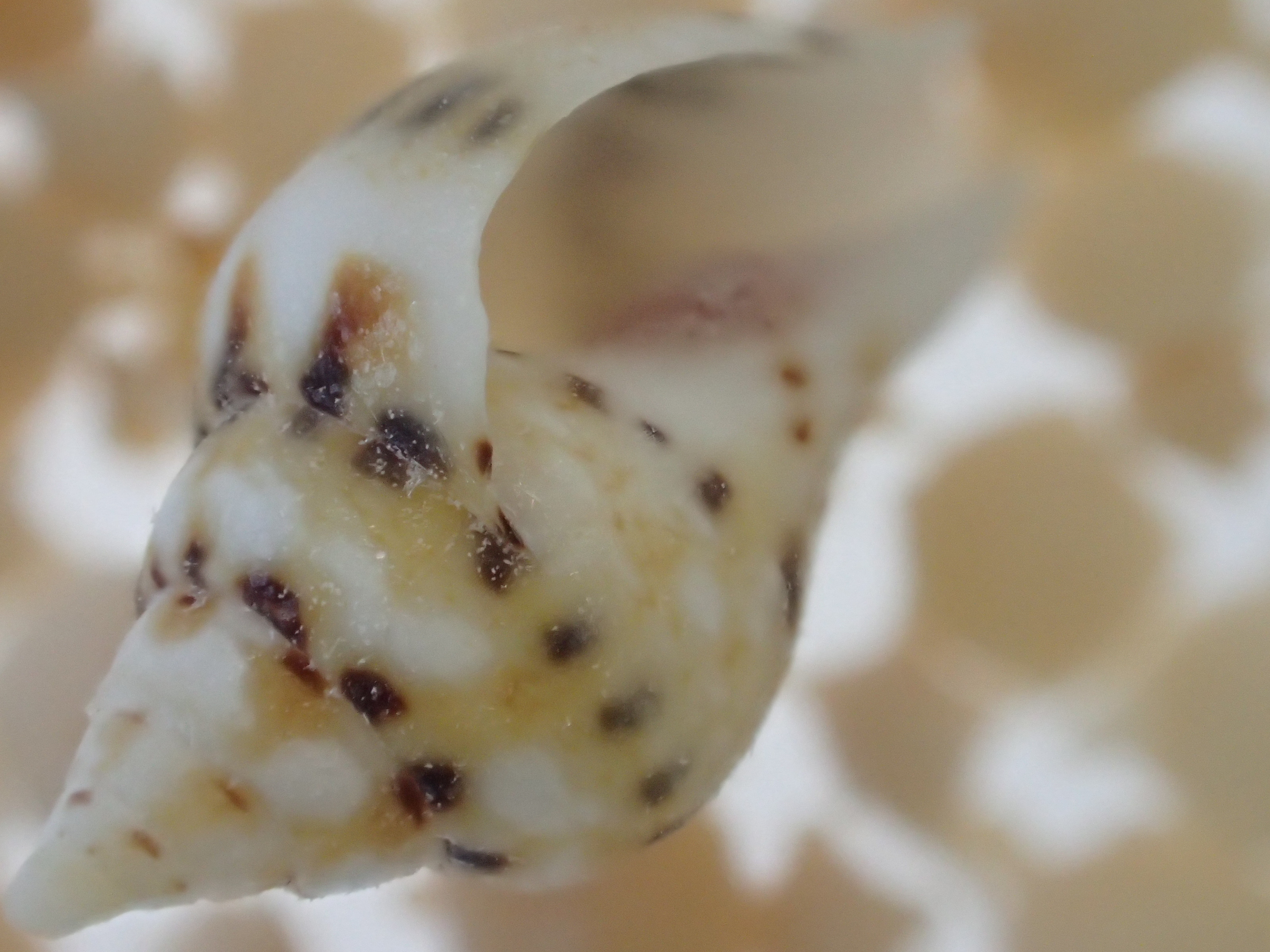 深度合成モード