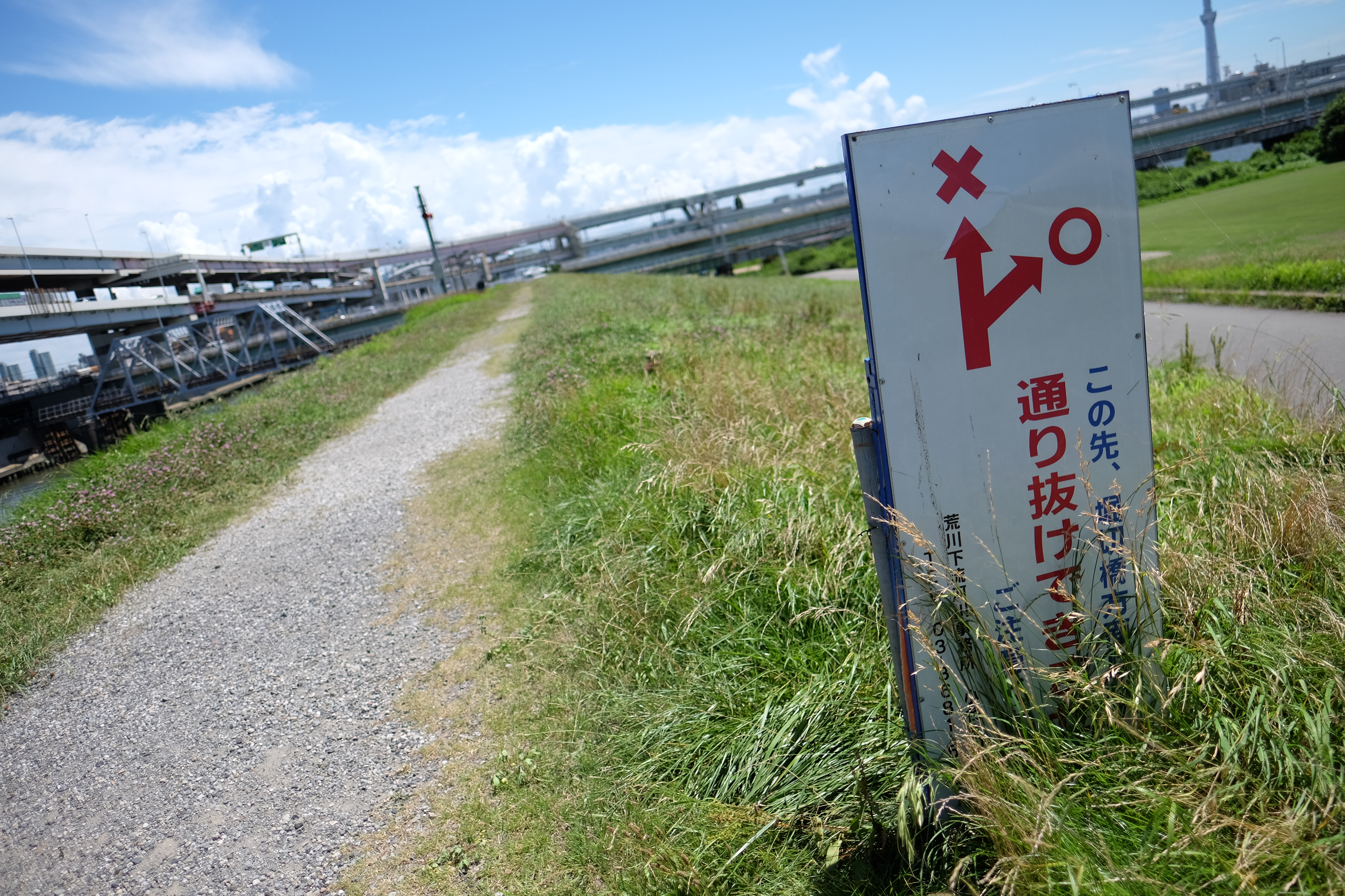 絞り開放・距離数mで撮影。X-T1 / 1/2,400秒 / F1.4 / 0EV / ISO200 / 絞り優先AE / 16mm