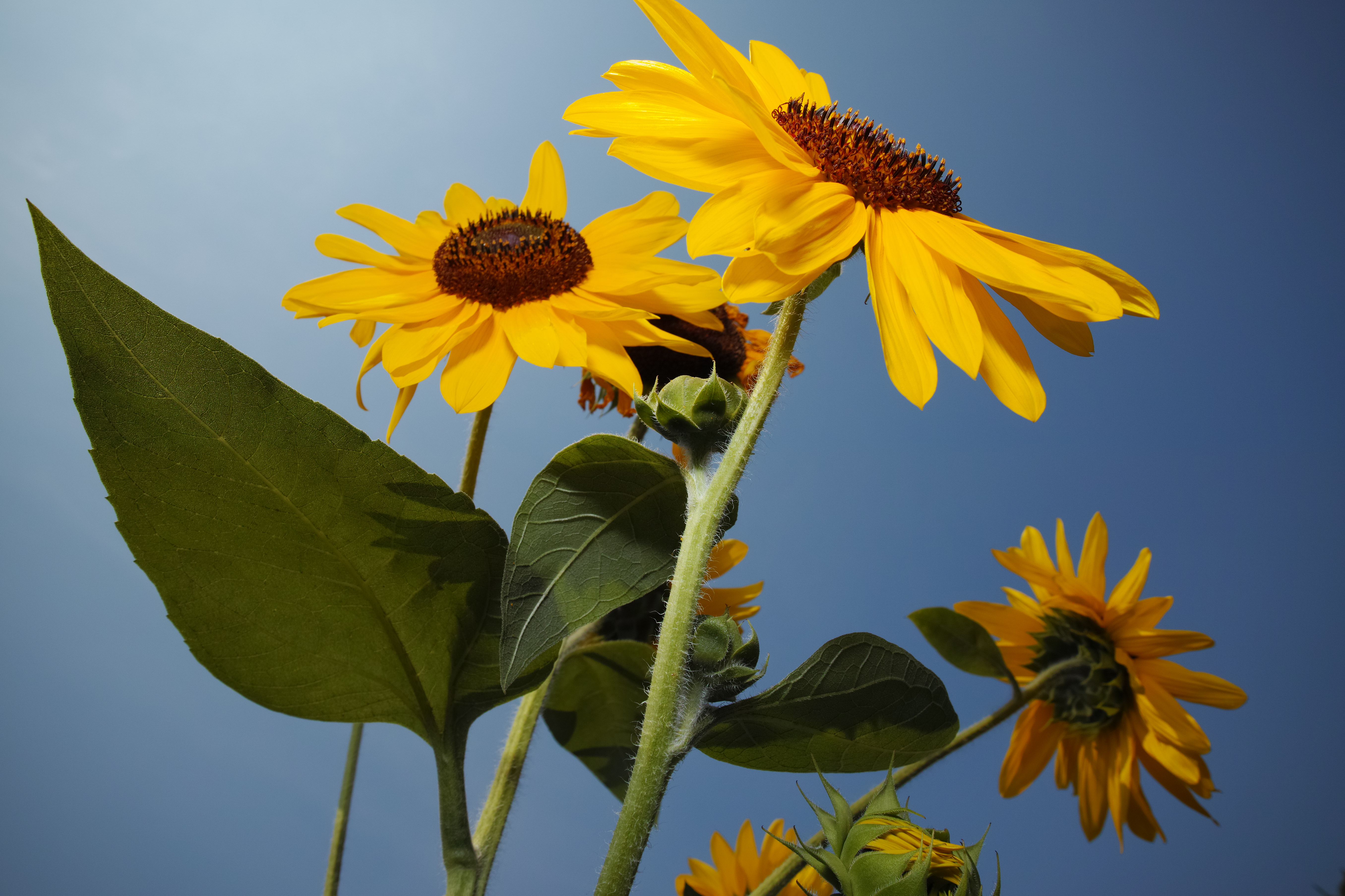 ISO100 / F8 / 1/1,000秒