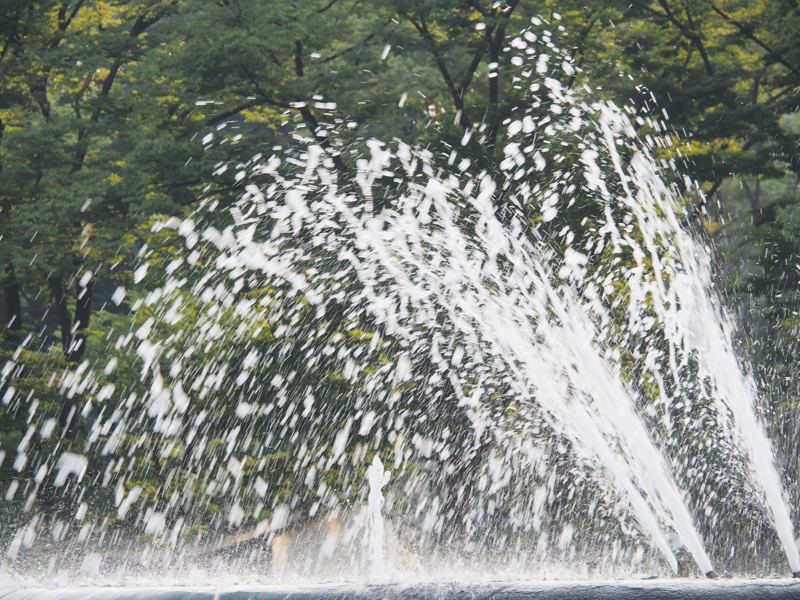 シャッター速度：1/80秒