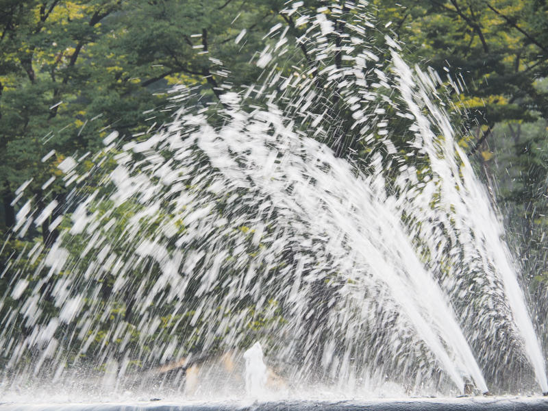 シャッター速度：1/40秒