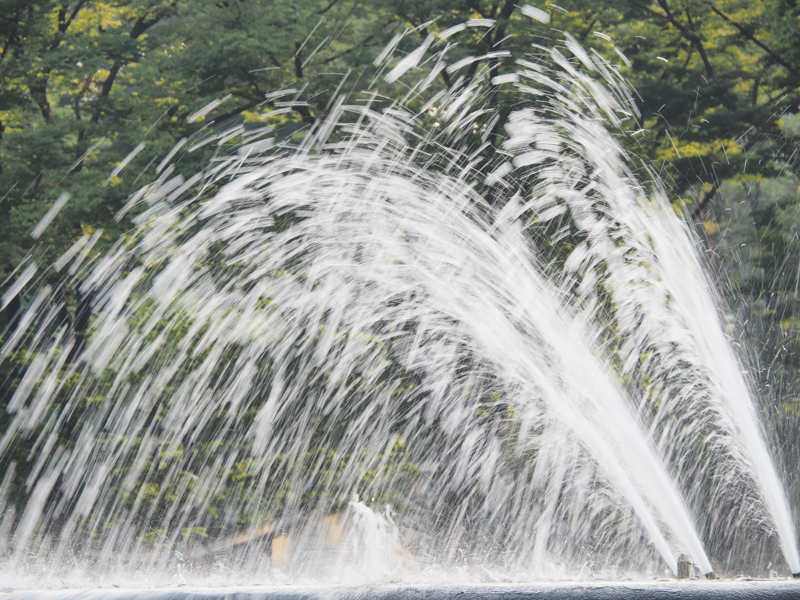 シャッター速度：1/20秒