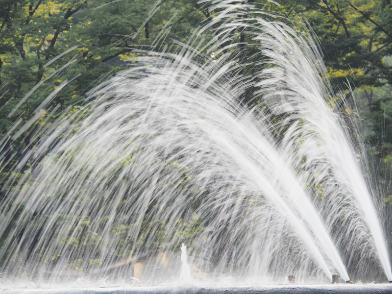 シャッター速度：1/10秒