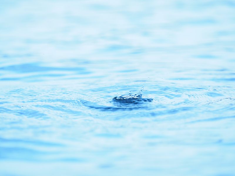 シャッター速度：1/1,250秒