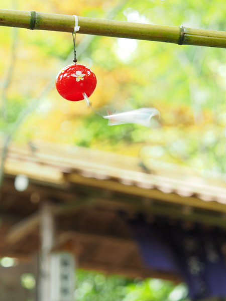 シャッター速度1/15秒