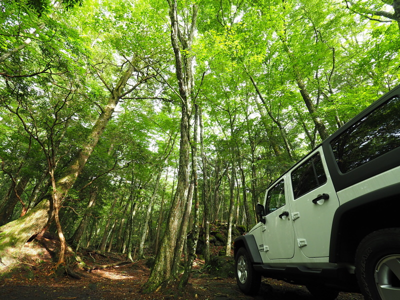 現地到着。この時期の緑は美しい。準備を整えて、このあと山道を歩き、洞窟に向かう