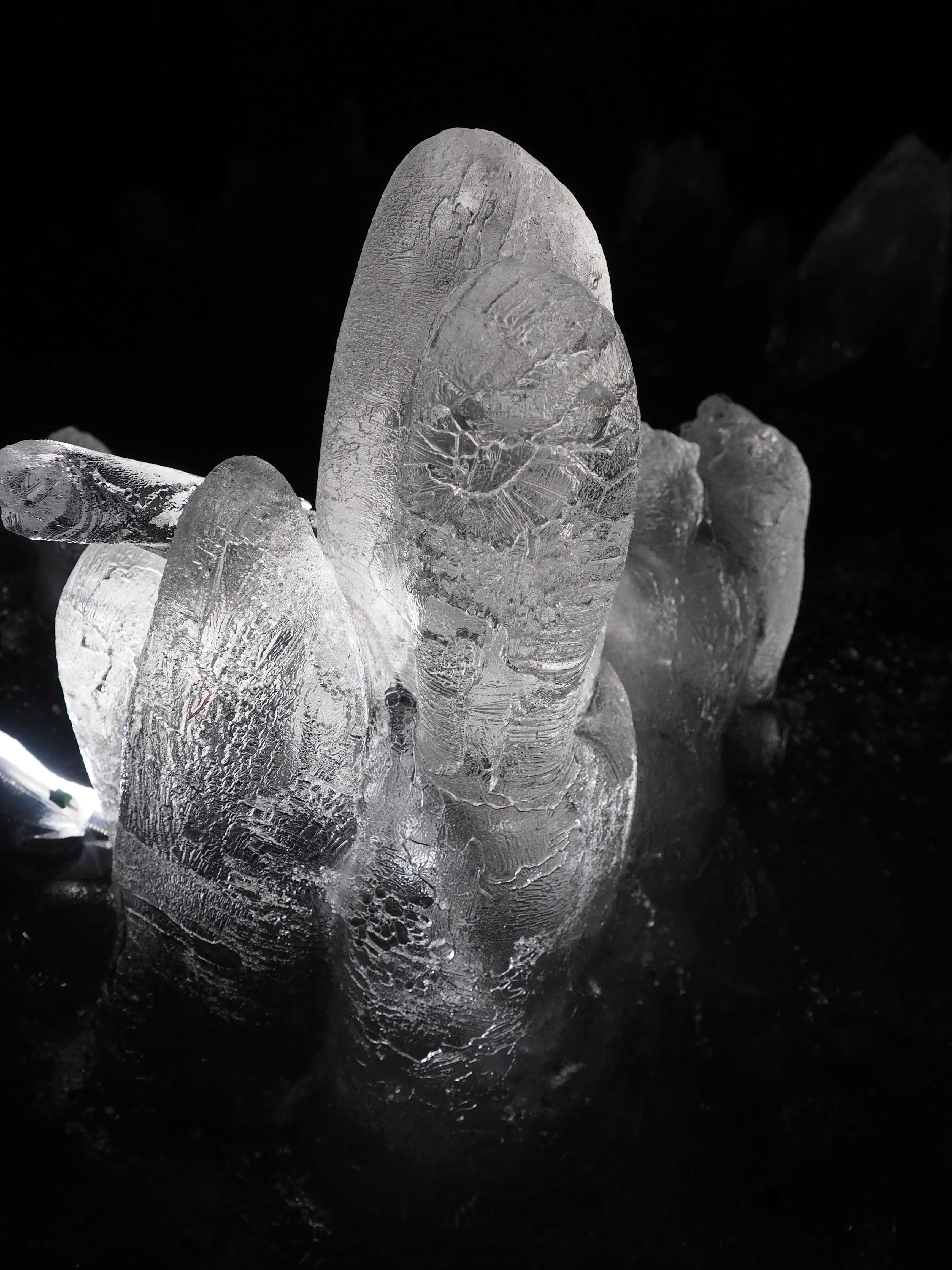 吉田隊長の作品。モノトーン調に浮かび上がると、さらに表面模様が強調されて、立体感や質感も伝わってくる。M.ZUIKO DIGITAL ED 12-40mm F2.8 PRO / 1/80秒 / F3.2 / ISO1250 / Normal / 12mm