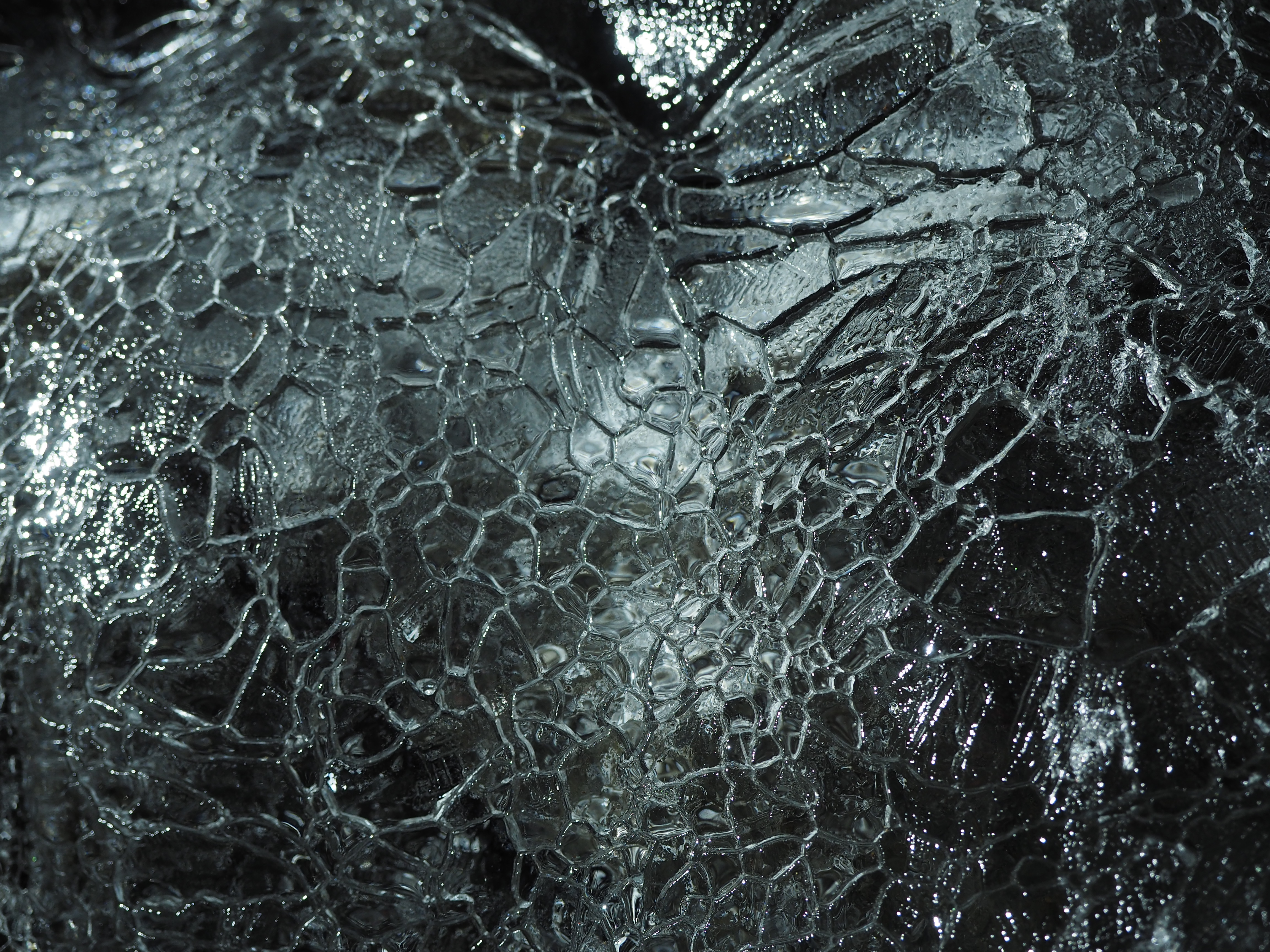 12-40mm F2.8の標準ズームは近接撮影にも強い。最大撮影倍率は0.3倍だが、35mm換算では0.6倍相当にもなる。M.ZUIKO DIGITAL ED 12-40mm F2.8 PRO / 1/2.5秒 / F3.5 / ISO400 / 絞り優先AE / 24mm