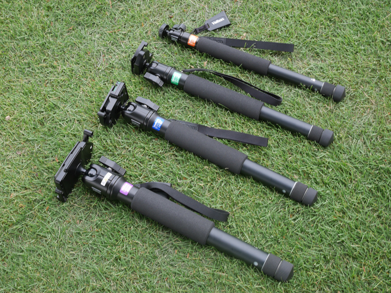 今回試用した4本の一脚。手前から「R63Q」（1万9,700円）、「V63D」（1万5,700円）、「L63M」（1万2,000円）、「M52」（8,000円）。今夏に発売される新製品だ。※いずれもメーカー希望小売価格（税別）