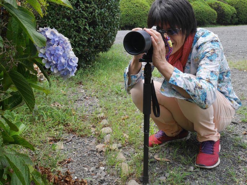 花マクロに一脚は最適。安定感が抜群でピントも合わせやすく、花の揺れが収まるのを待っているのも苦にならなかった