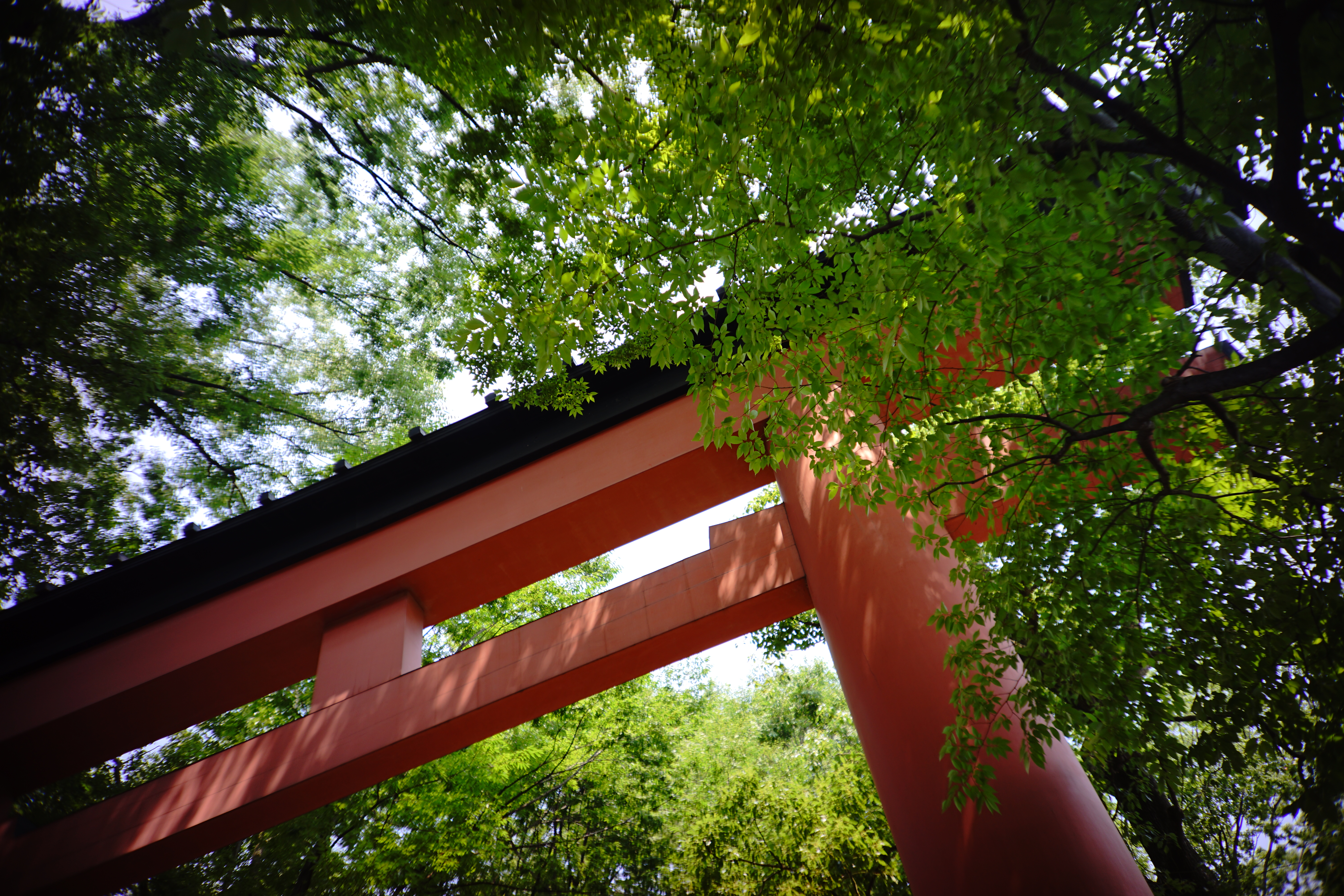 α7 II / Lomo LC-A Minitar-1 Art Lens 2.8/32 M / F2.8 / 1/125秒 / 0EV / ISO50 / 32mm / クリエイティブスタイル：スタンダード（コントラスト±0、彩度+3、シャープ±0）