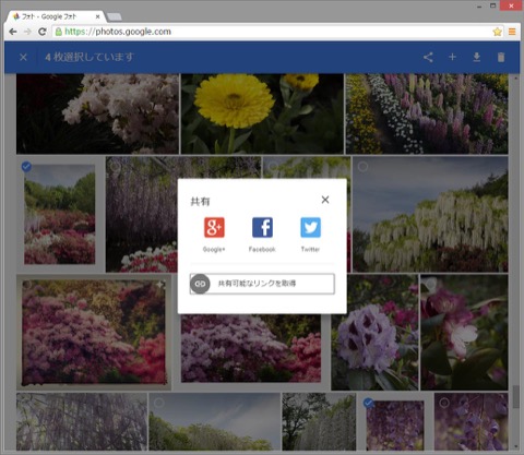 悩める写真管理 バックアップに福音 Googleフォト を使いこなす 第5回 編集機能はフィルタが中心 デジカメ Watch Watch