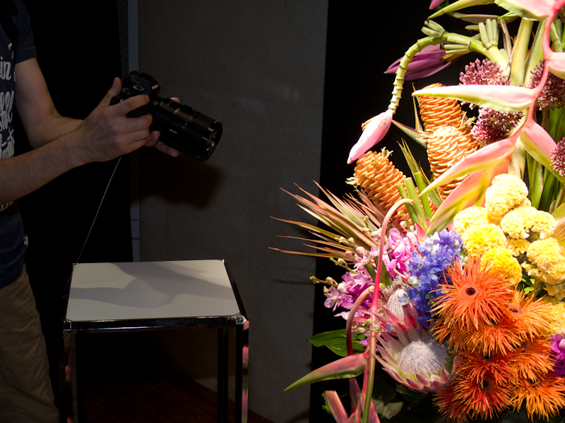 花のマクロ撮影コーナー