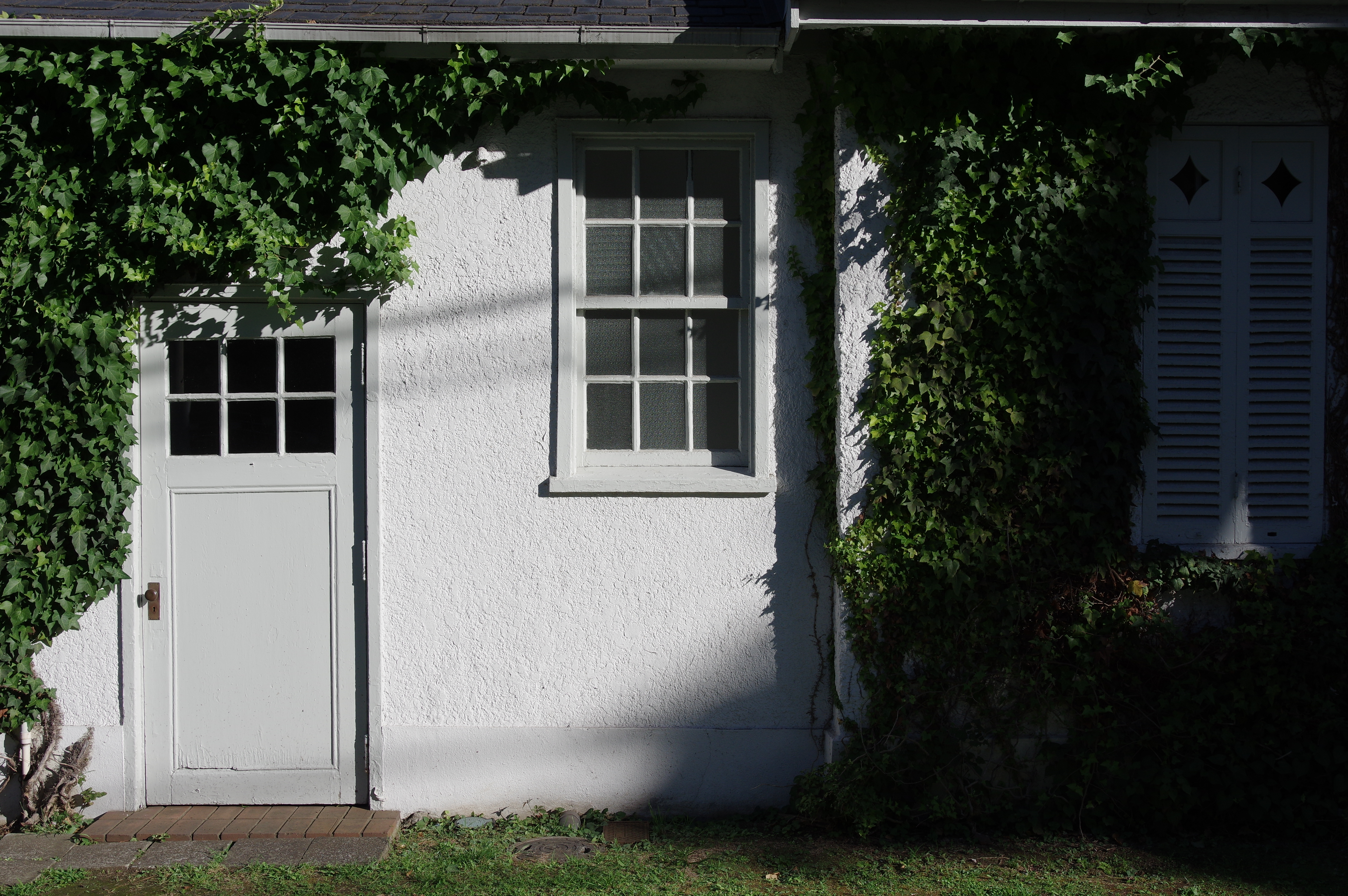 HD PENTAX-DA 20-40mm F2.8-4 ED Limited DC WR / ISO250 / F8 / 1/800秒 / 27mm（40mm相当）