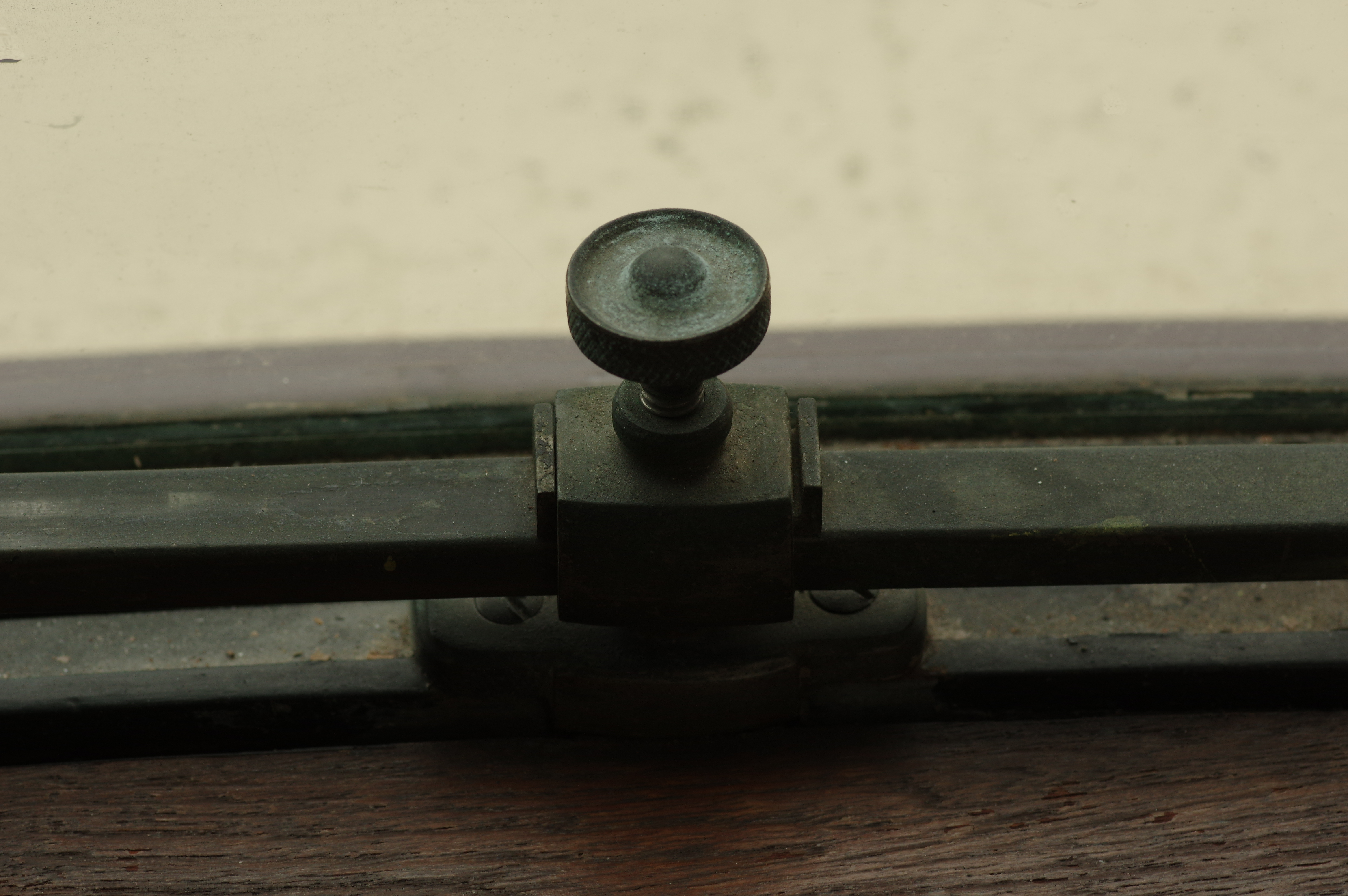 smc PENTAX-D FA Macro 100mm F2.8 WR / ISO500 / F9 / 1/80秒 / 100mm（150mm相当）