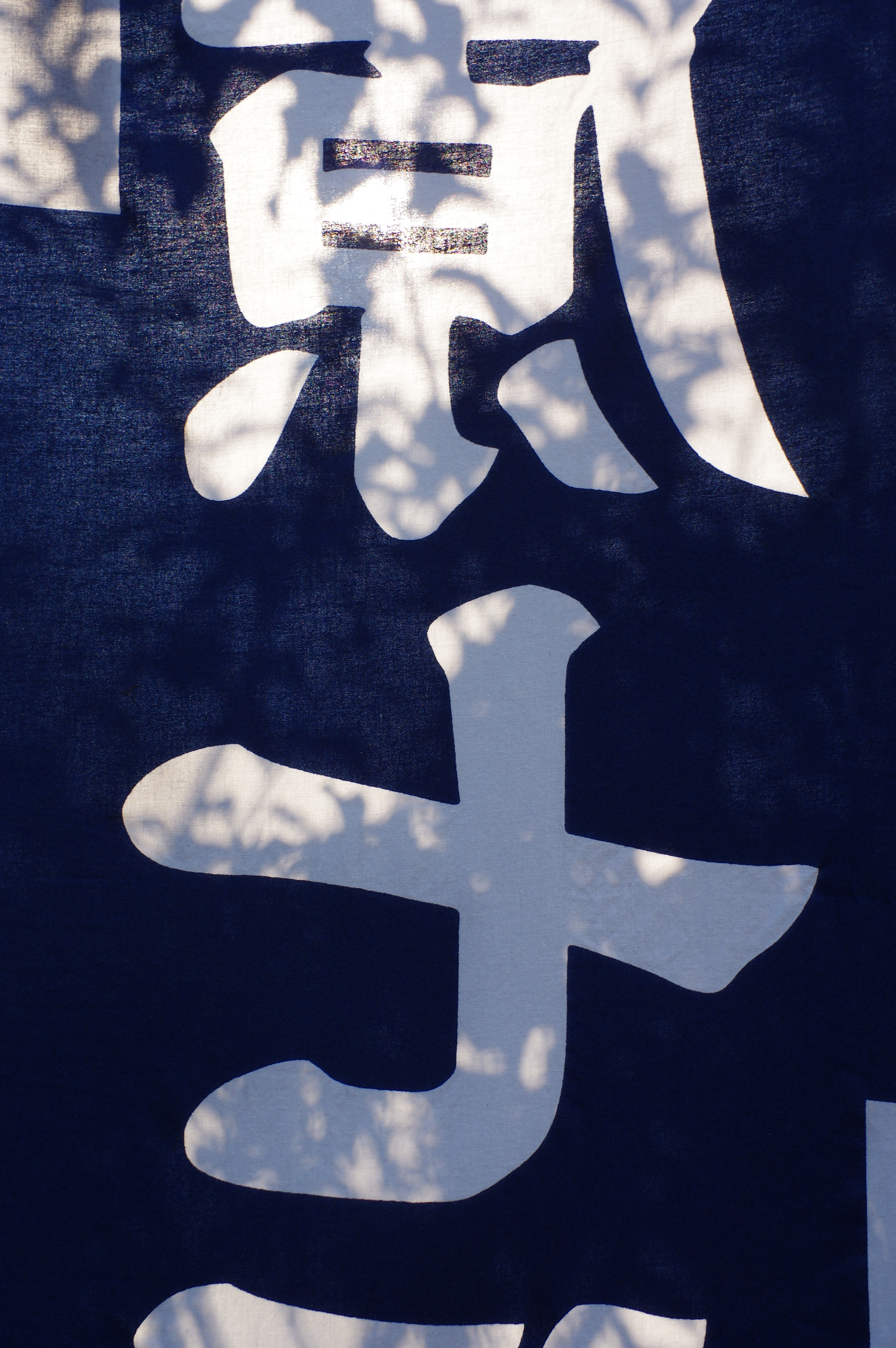 HD PENTAX-DA 21mm F3.2 ED AL Limited / ISO320 / F9 / 1/100秒 / 21mm（31mm相当）