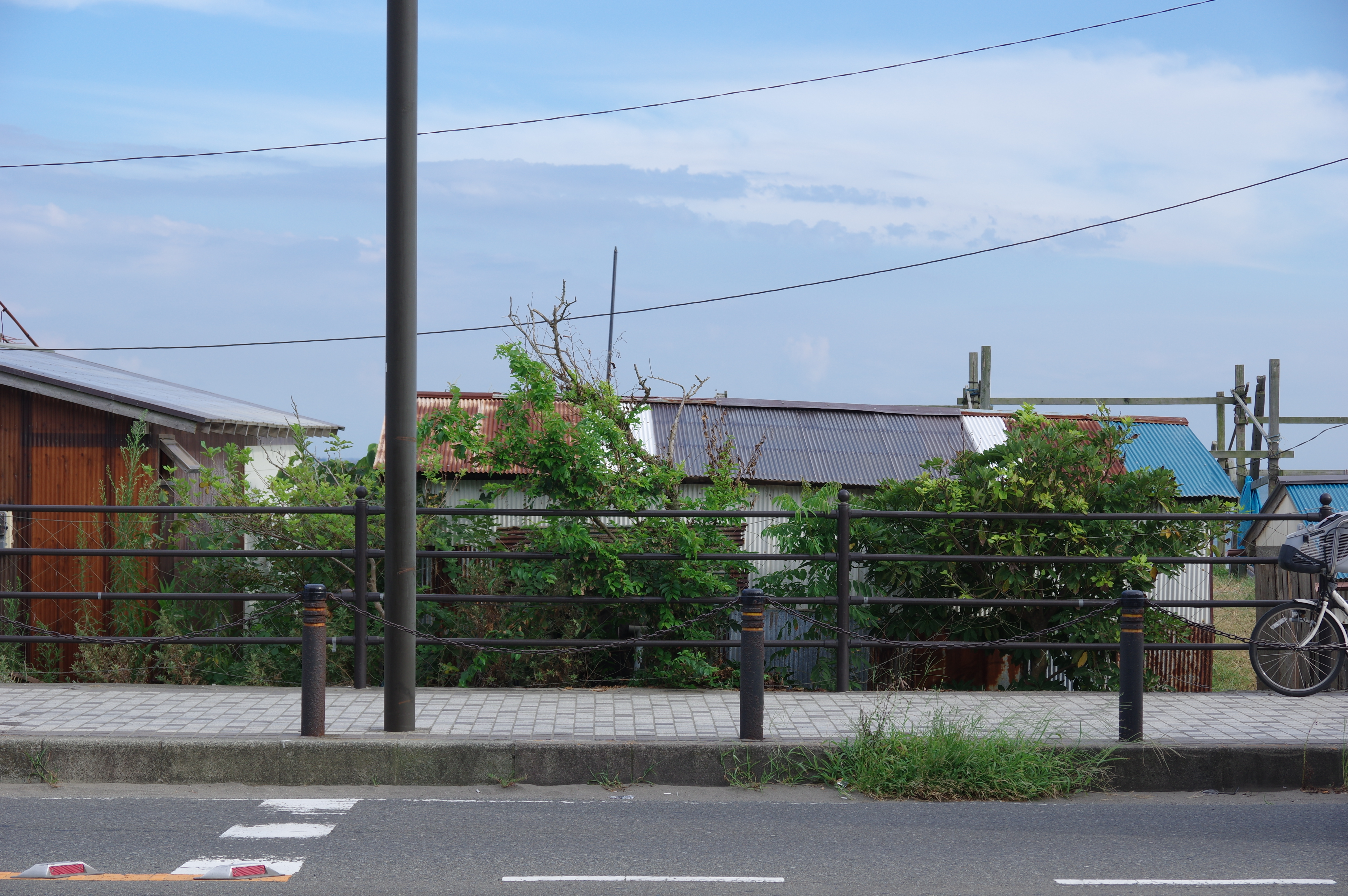 HD PENTAX-DA 16-85mmF3.5-5.6ED DC WR / ISO100 / F7 / 1/160秒 / 53mm（79mm相当）