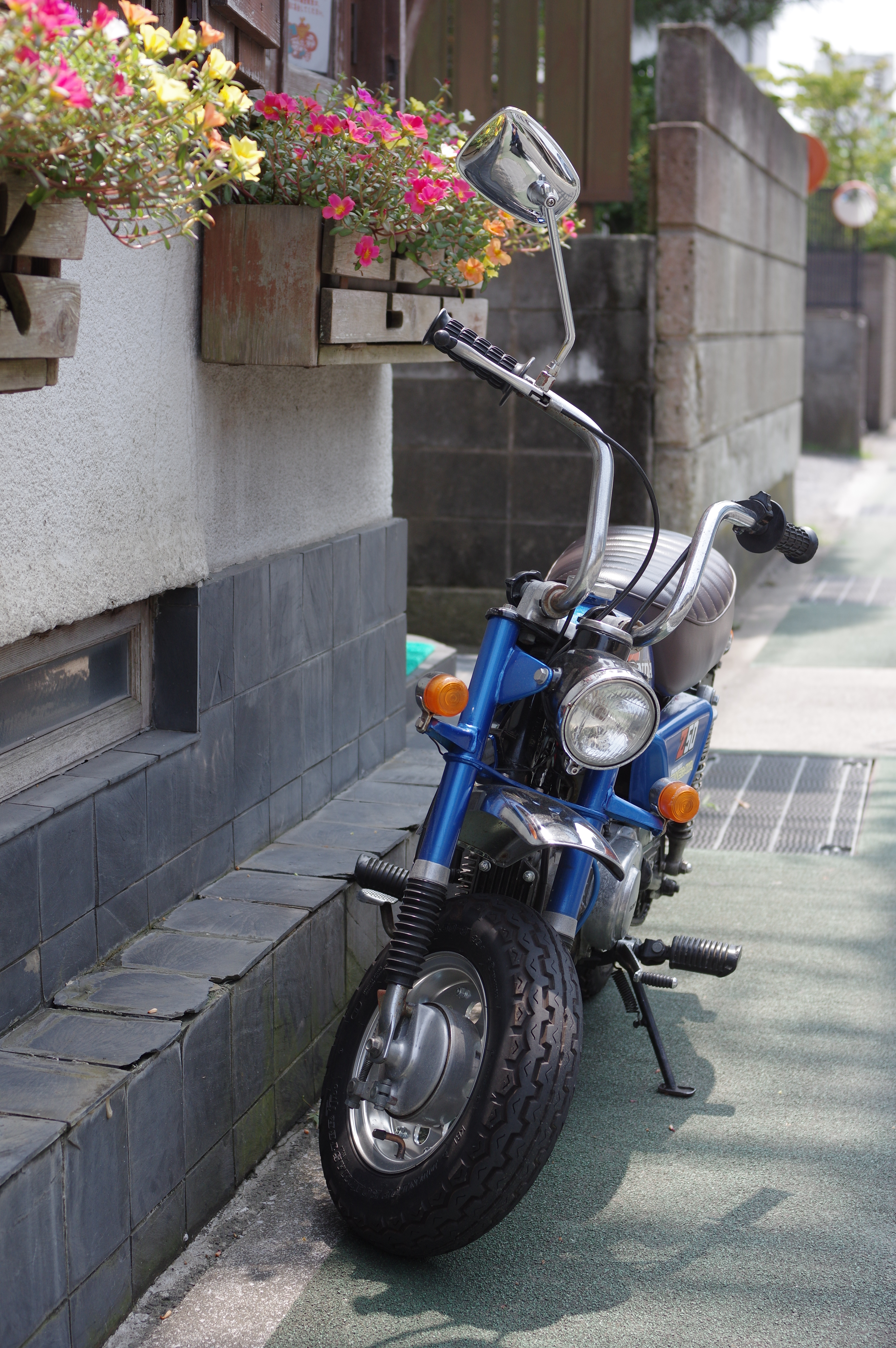 HD PENTAX-DA 40mm F2.8 Limited / ISO250 / F4 / 1/640秒 / 40mm（60mm相当）