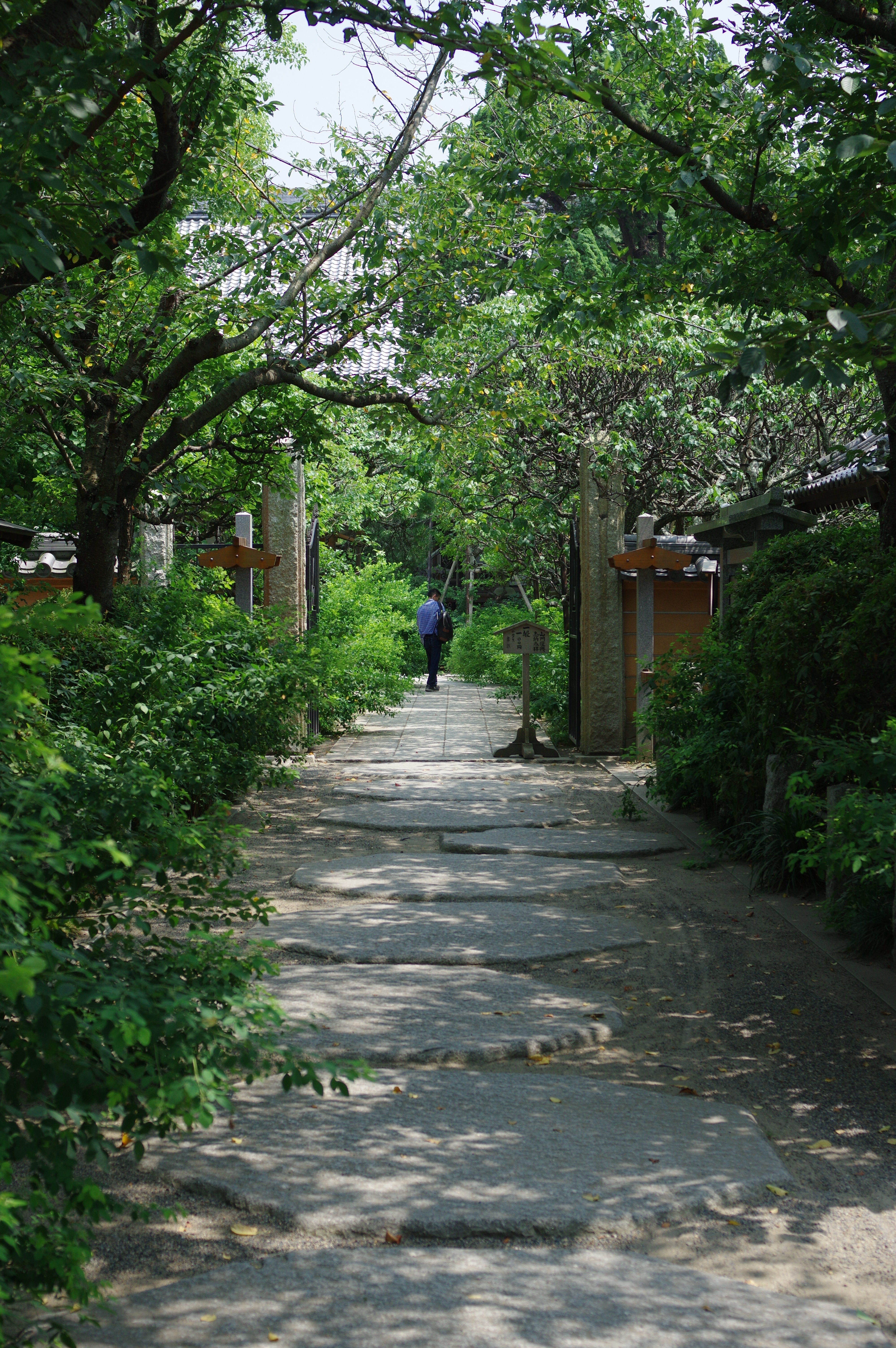 HD PENTAX-DA 40mm F2.8 Limited / ISO250 / F4 / 1/800秒 / 40mm（60mm相当）