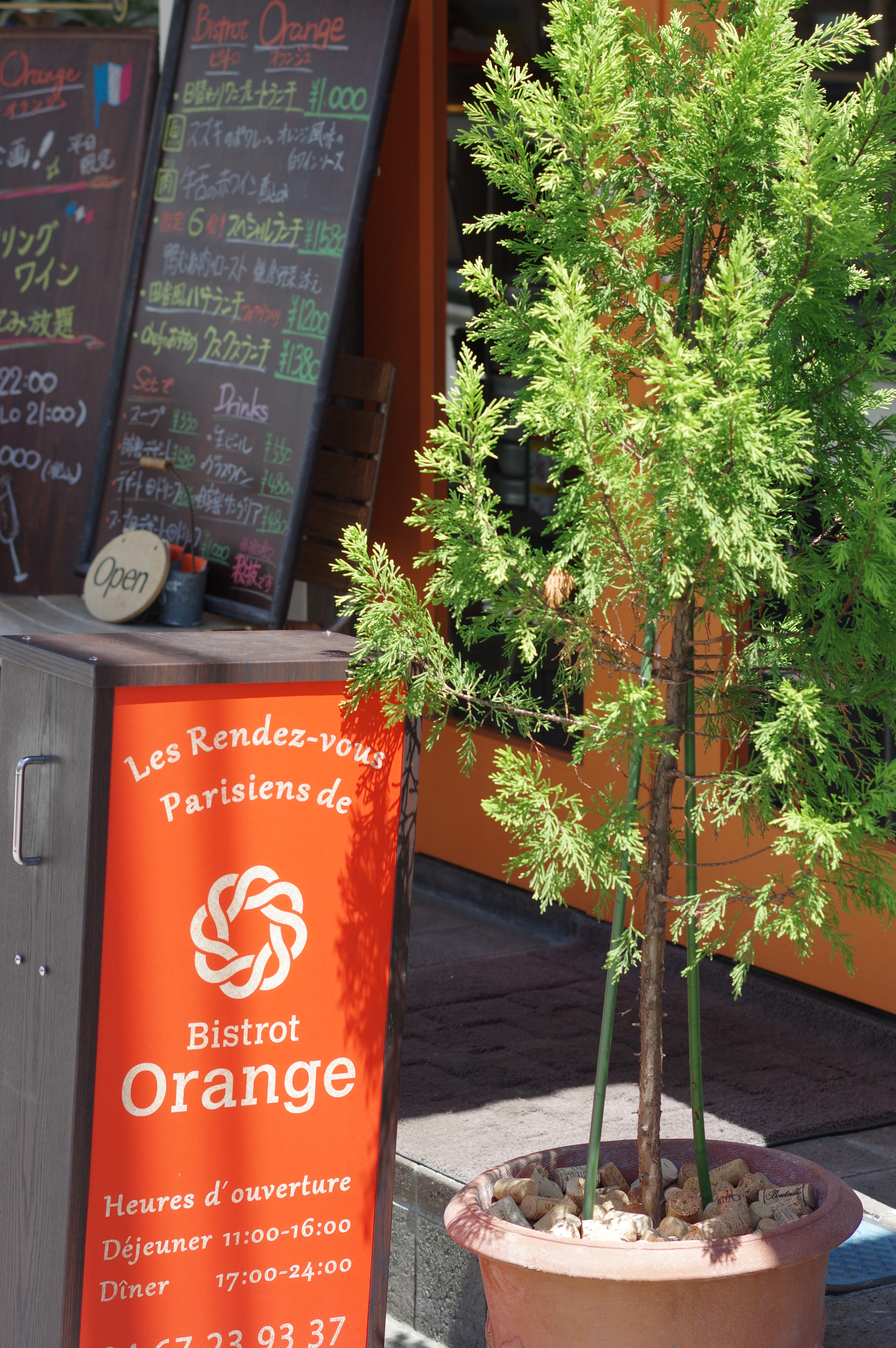 HD PENTAX-DA 70mm F2.4 Limited / ISO200 / F5 / 1/320秒 / 70mm（105mm相当）