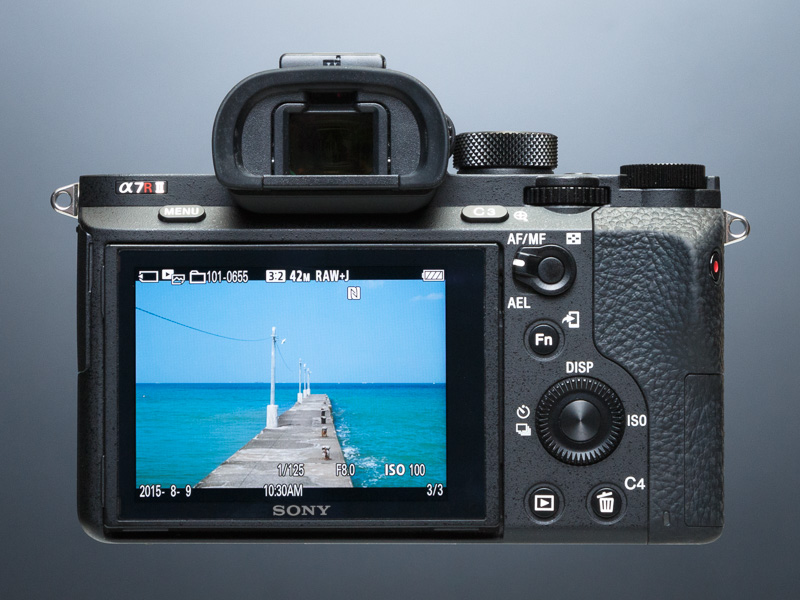 トップカバーとフロントカバー、内部フレームに加えてリアカバーにもマグネシウム合金を採用。防塵防滴に配慮し、主要なボタンやダイヤル類にはシーリング処理が施されている