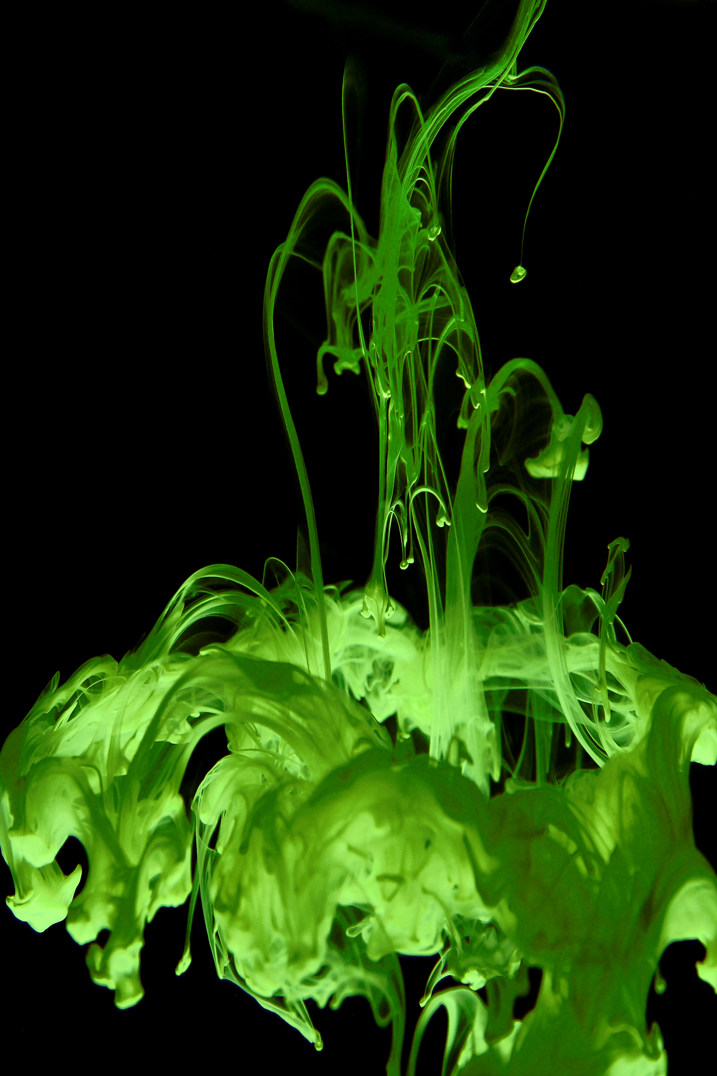 キヤノンEOS Kiss X5／EF-S 18-55mm F3.5-5.6 IS／42mm（67mm相当）／マニュアル露出（F11、1/125秒）／ISO 800／WB：白熱電球<br class="">インク（ポスターカラー）を水中に入れたときにできる軌跡。インクを水に入れたときに、ほんの数秒しか見られない美しい流体。その移りゆく瞬間をとらえた