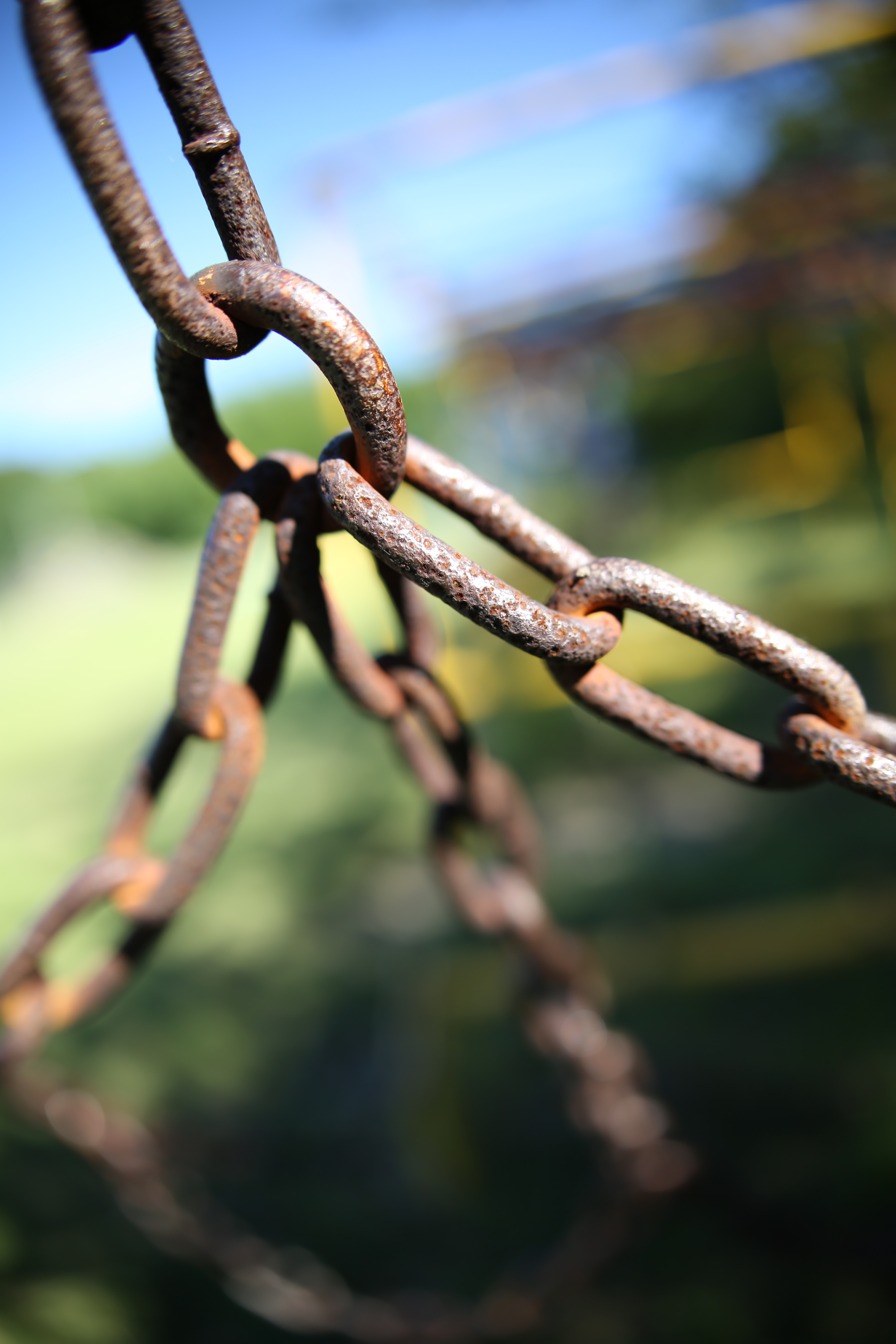 絞り開放・最短撮影距離（約28cm）で撮影。EOS 5D Mark III / 1/800秒 / F2 / +0.3EV / ISO100 / 絞り優先AE / 24mm