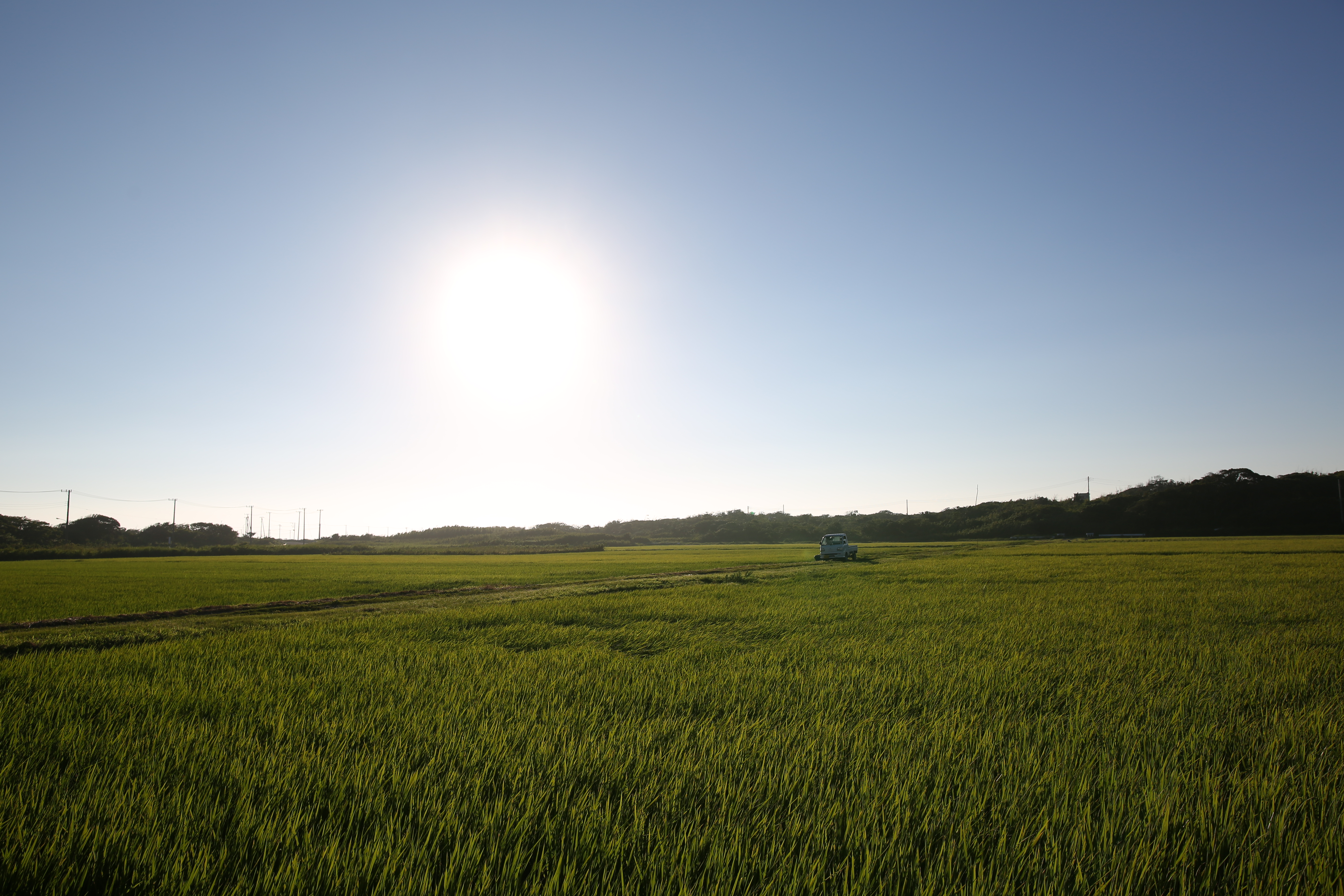 EOS 5D Mark III / 1/1,000秒 / F5.6 / 0EV / ISO100 / マニュアル露出 / 24mm