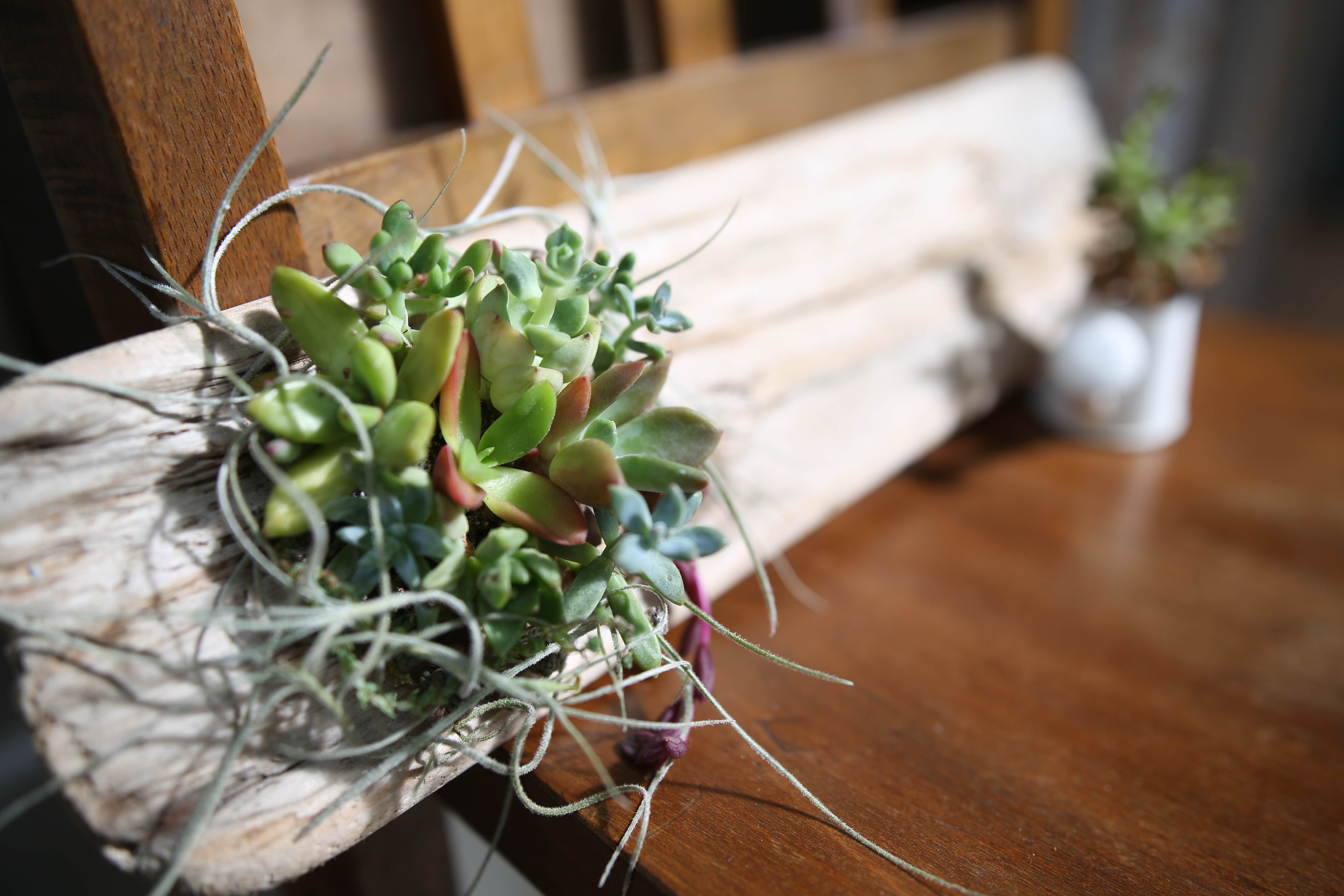 EOS 5D Mark III / 1/125秒 / F2.8 / 0EV / ISO100 / マニュアル露出 / 35mm