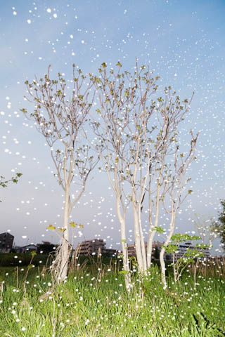 水谷吉法写真展「YUSURIKA」 - デジカメ Watch Watch