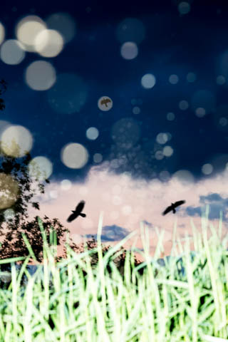 水谷吉法写真展「YUSURIKA」 - デジカメ Watch Watch