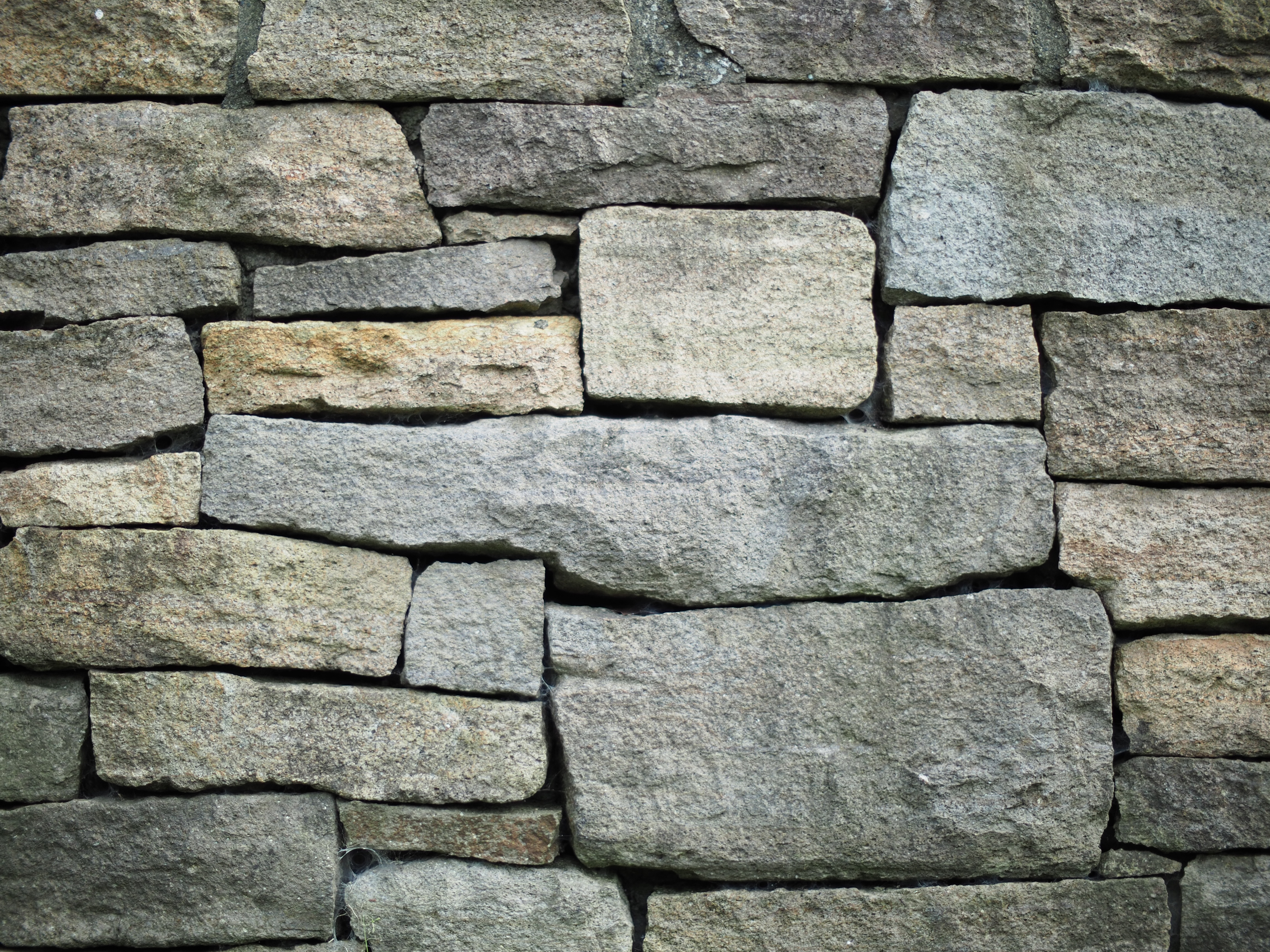 撮影距離：約2.0m。F0.95