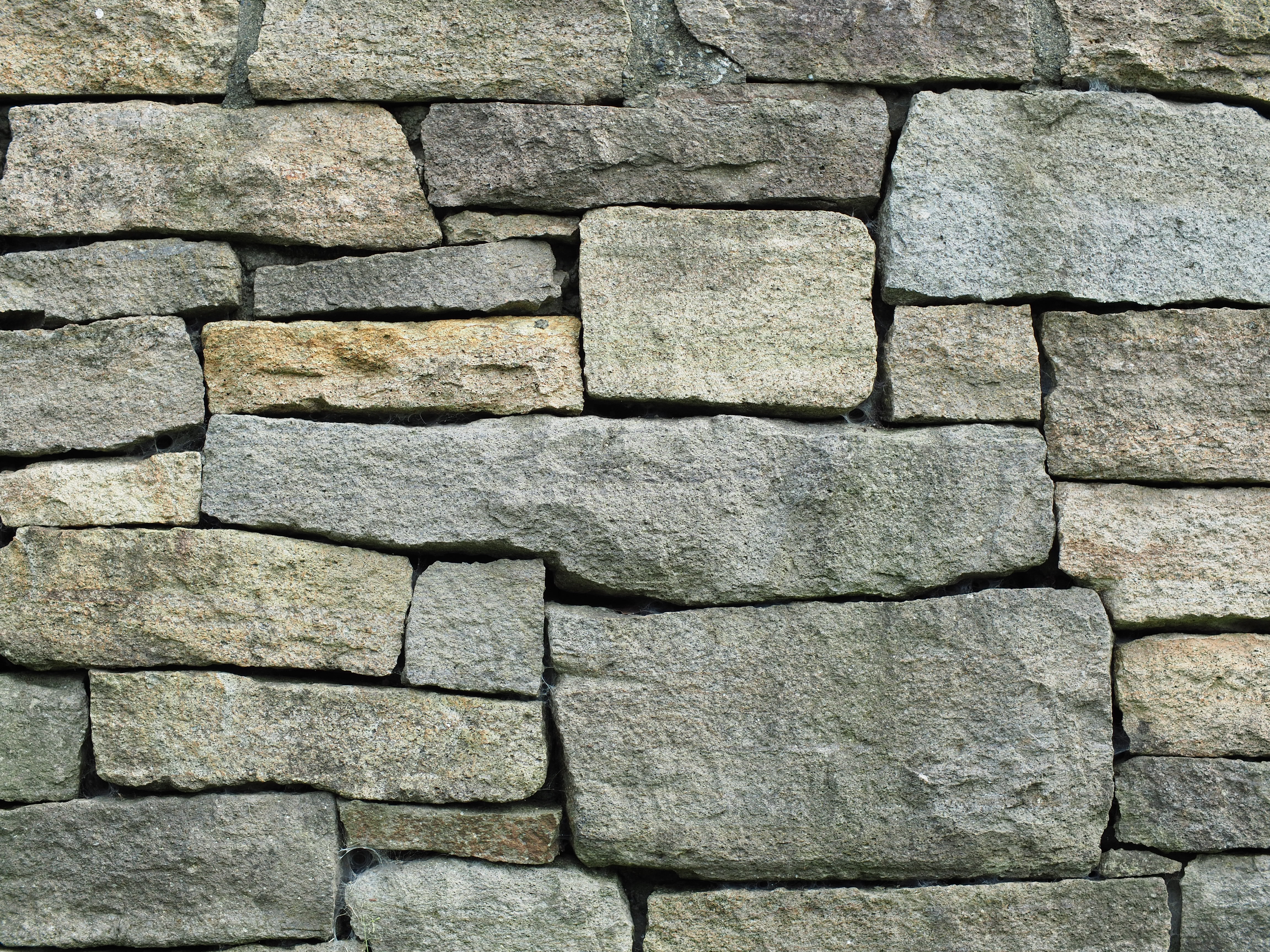 撮影距離：約2.0m。F2.8