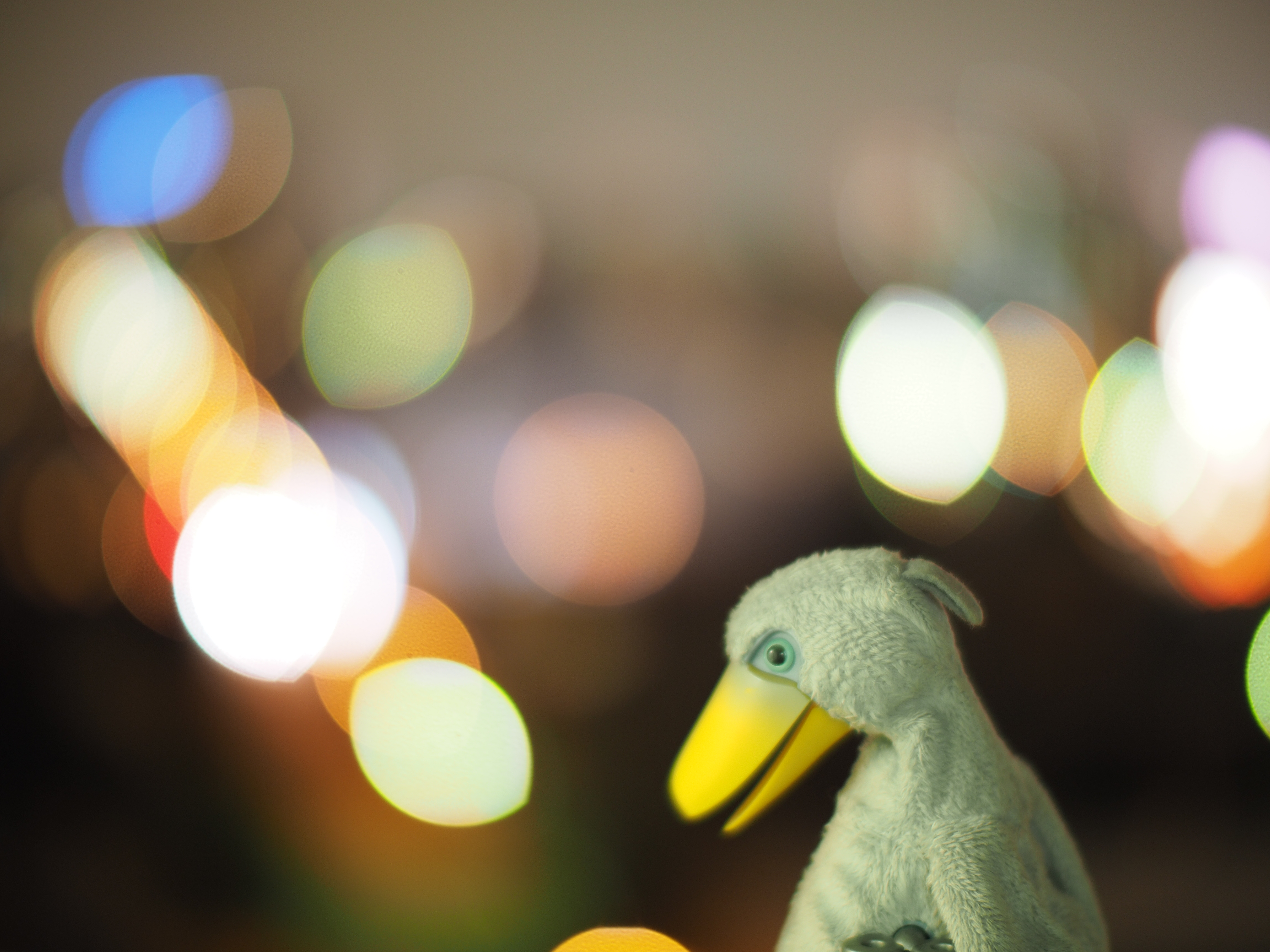 撮影距離：約0.8m。F0.95