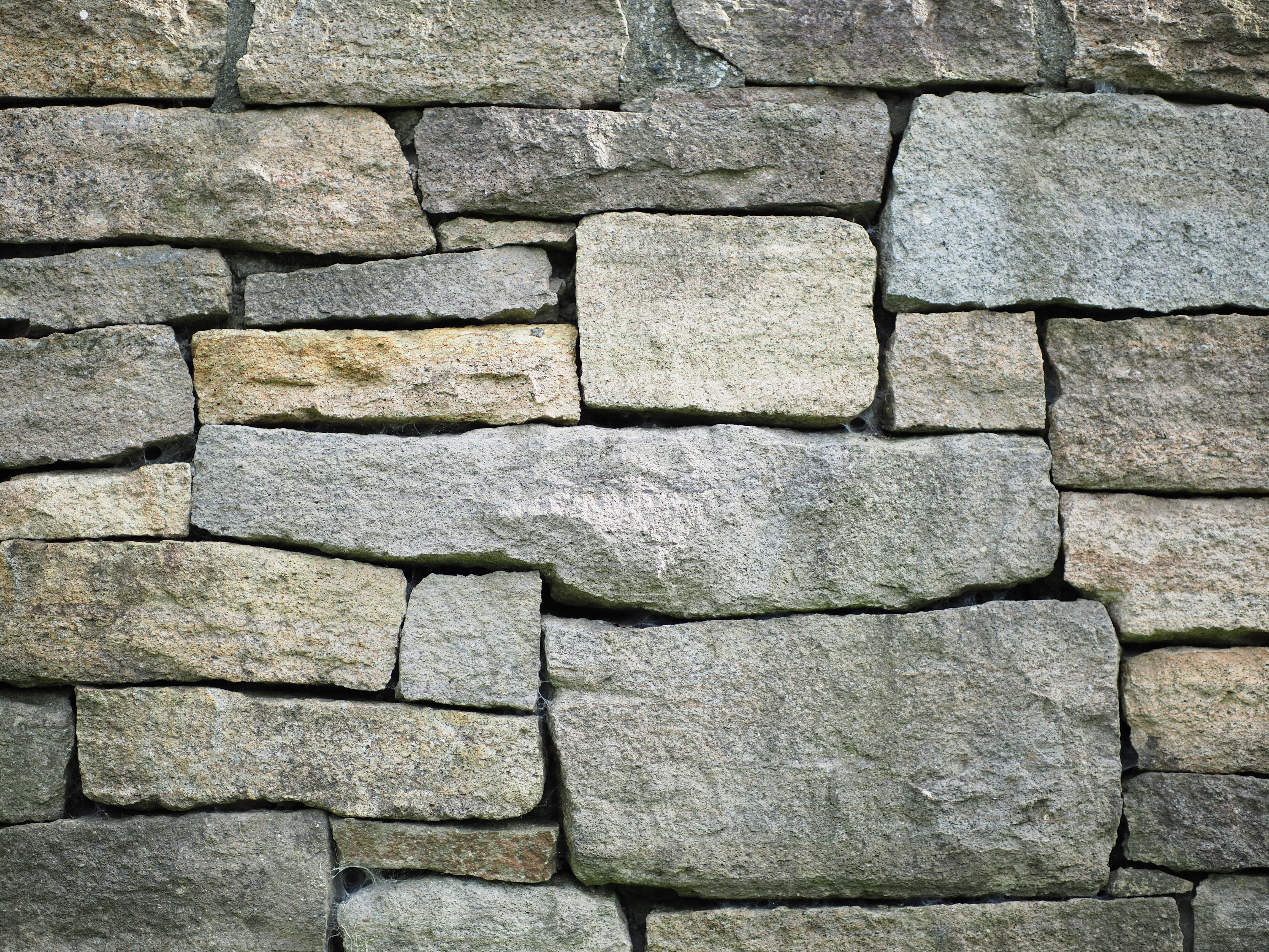 撮影距離：約2.0m。F1.2