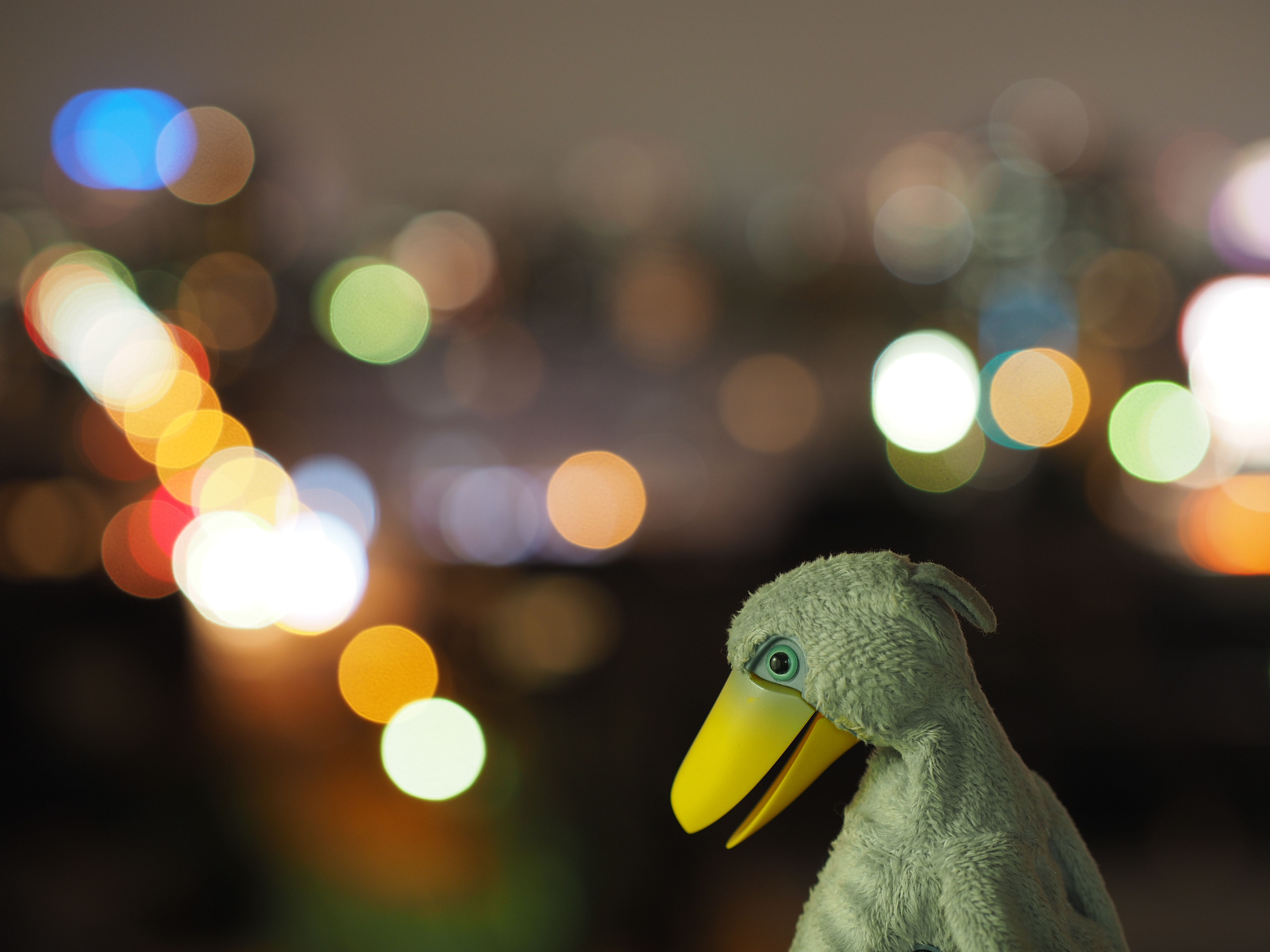 撮影距離：約0.8m。F2