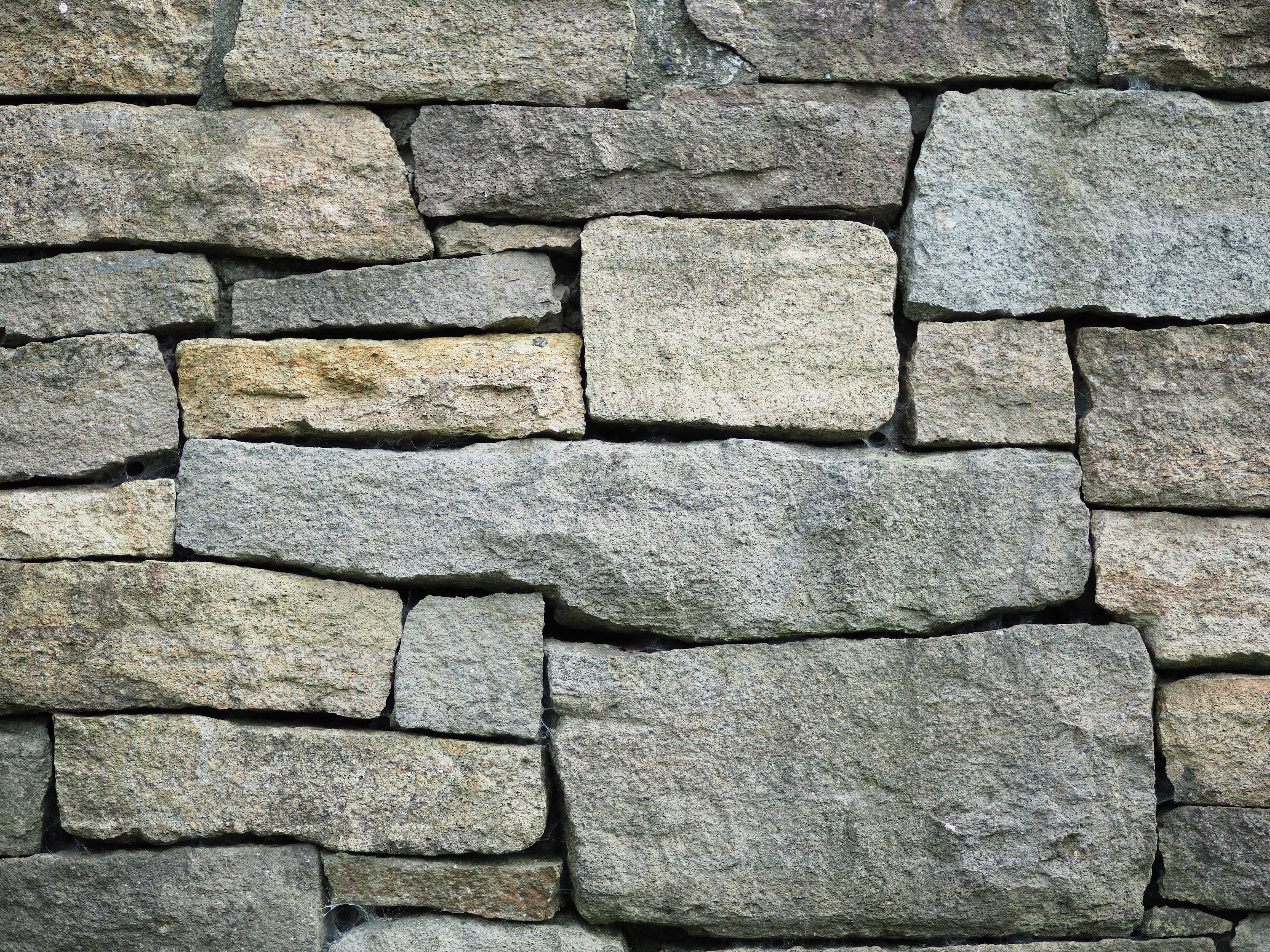 撮影距離：約2.0m。F1.7